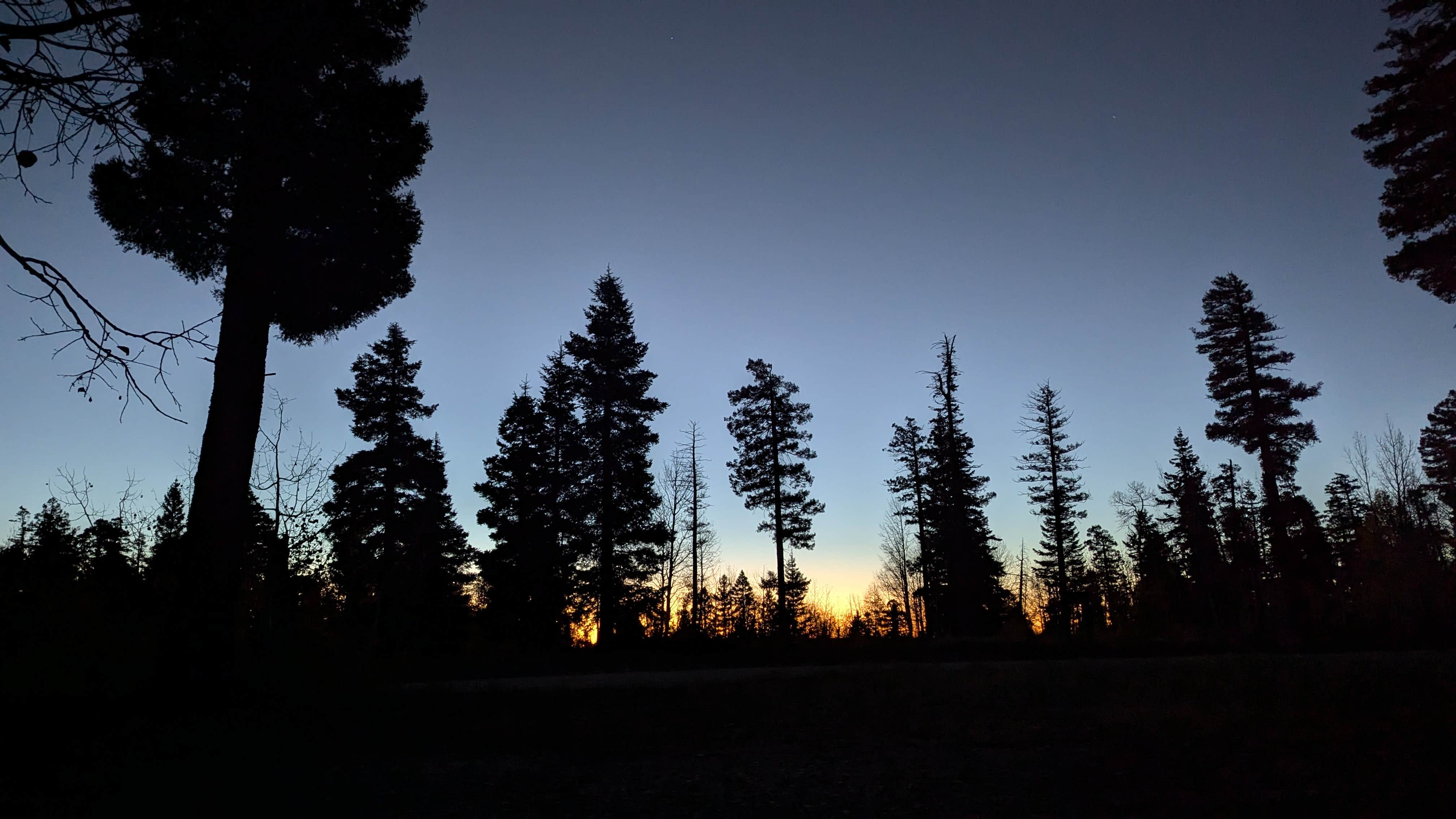 john M.'s photo of a dispersed camping area at NF-22 Dispersed Campsite near Grand Canyon National Park