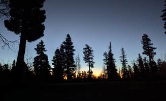 john M.'s photo of a dispersed camping area at NF-22 Dispersed Campsite near Supai, AZ