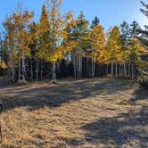 Review photo of NF-22 Dispersed Campsite by john M., October 5, 2024