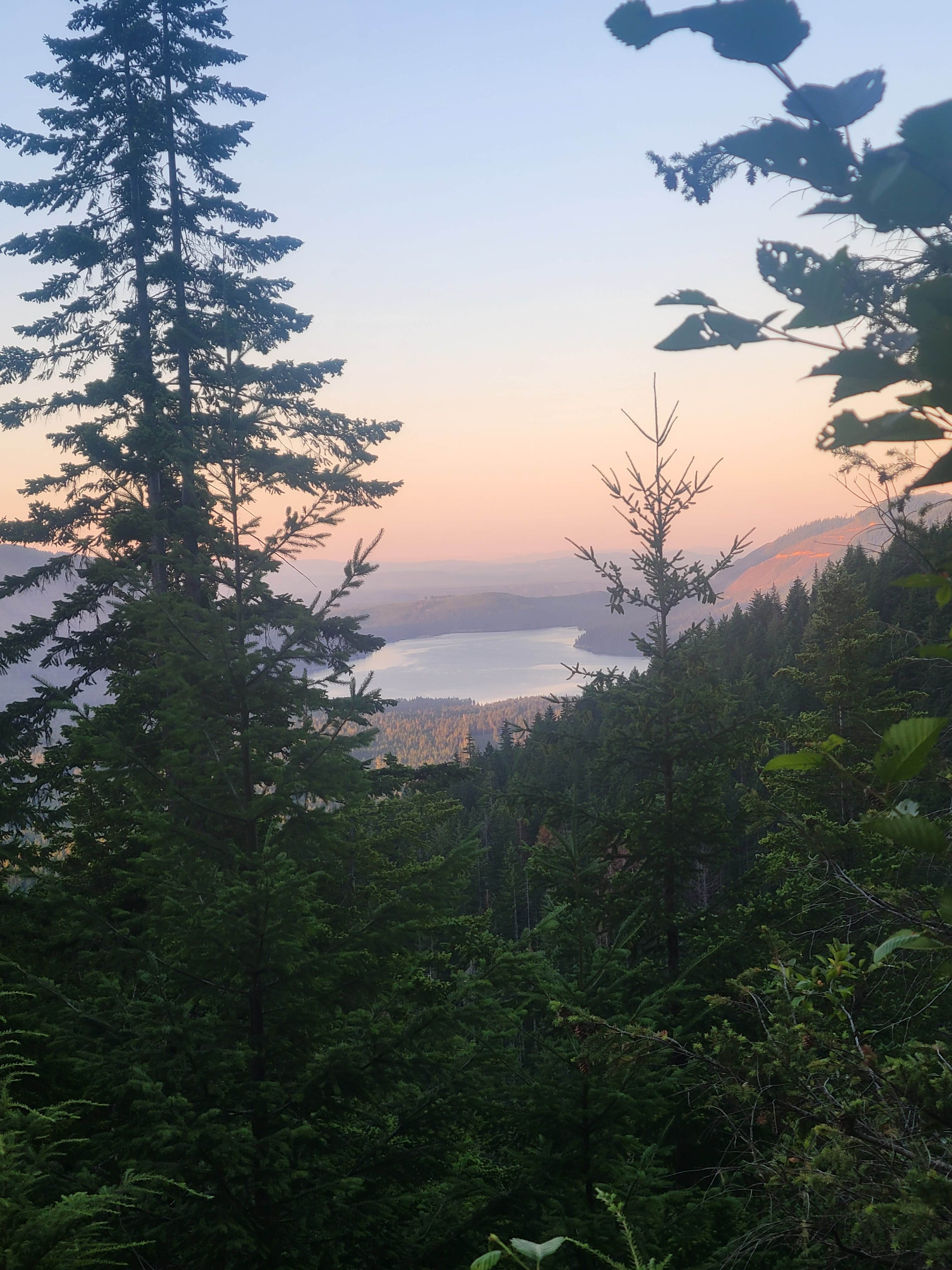 Camper-submitted photo at NF-2419 Dispersed Site near Hoodsport, WA