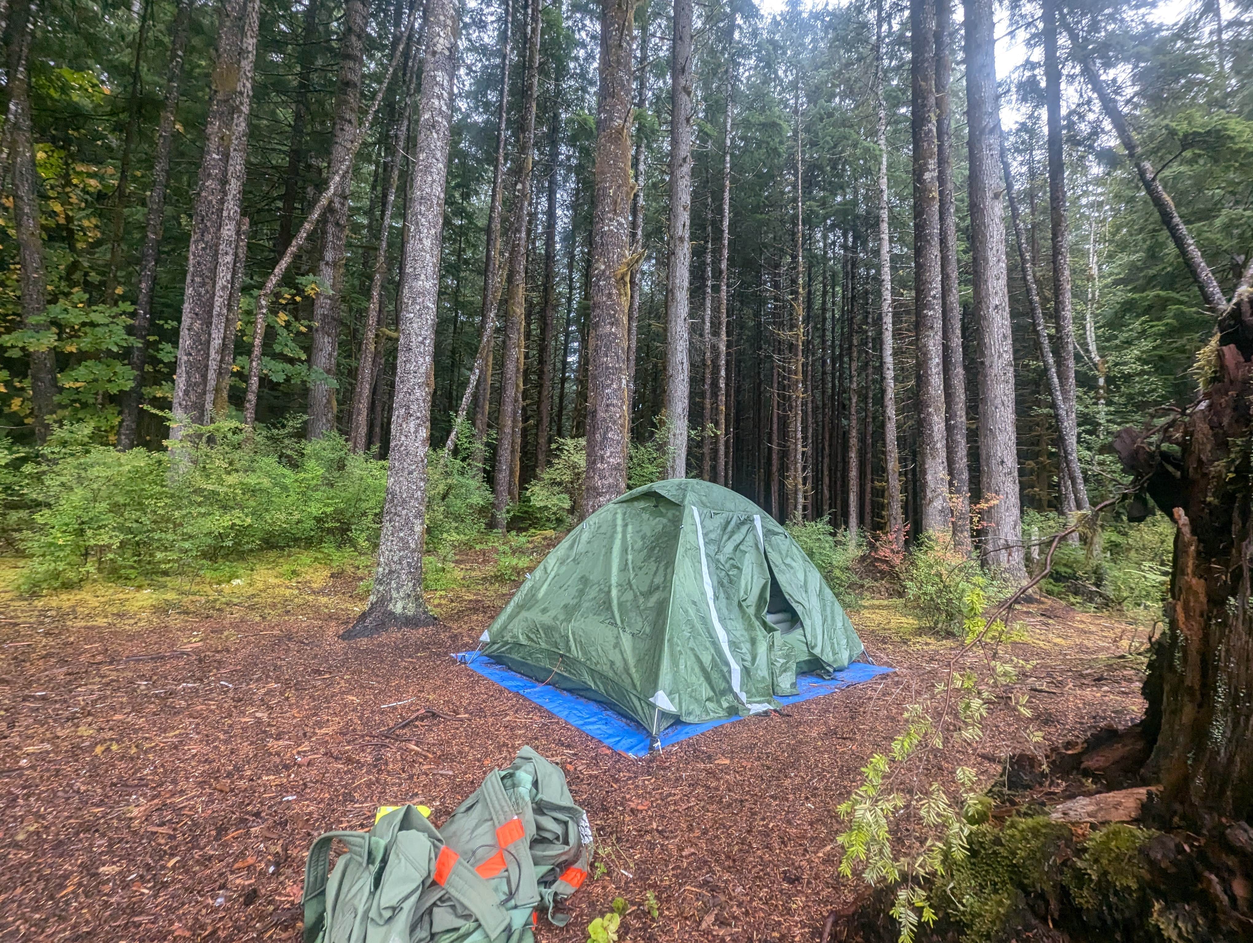 Camper-submitted photo at NF-2419 Dispersed Site near Bremerton, WA