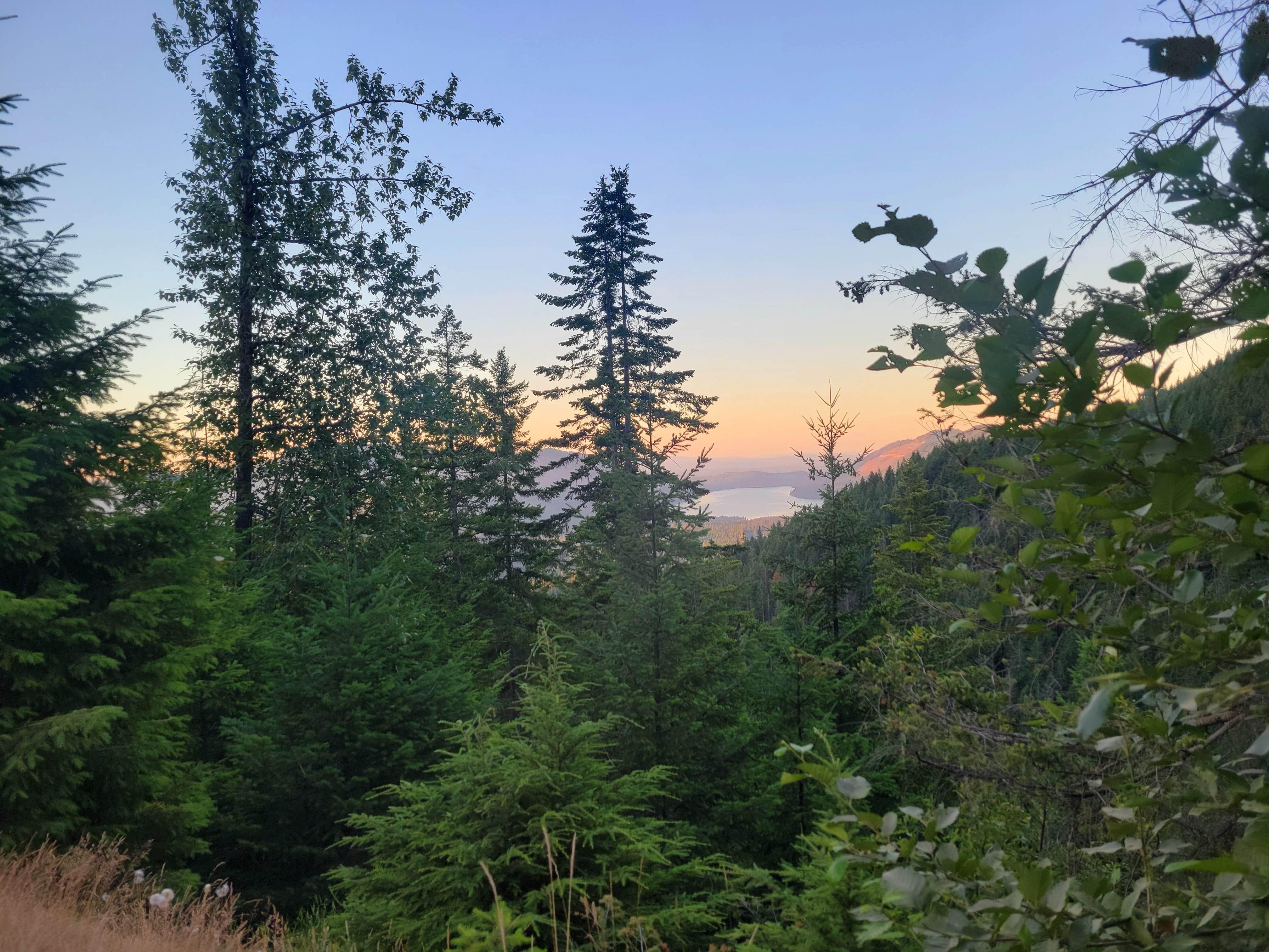 Camper-submitted photo at NF-2419 Dispersed Site near Bremerton, WA