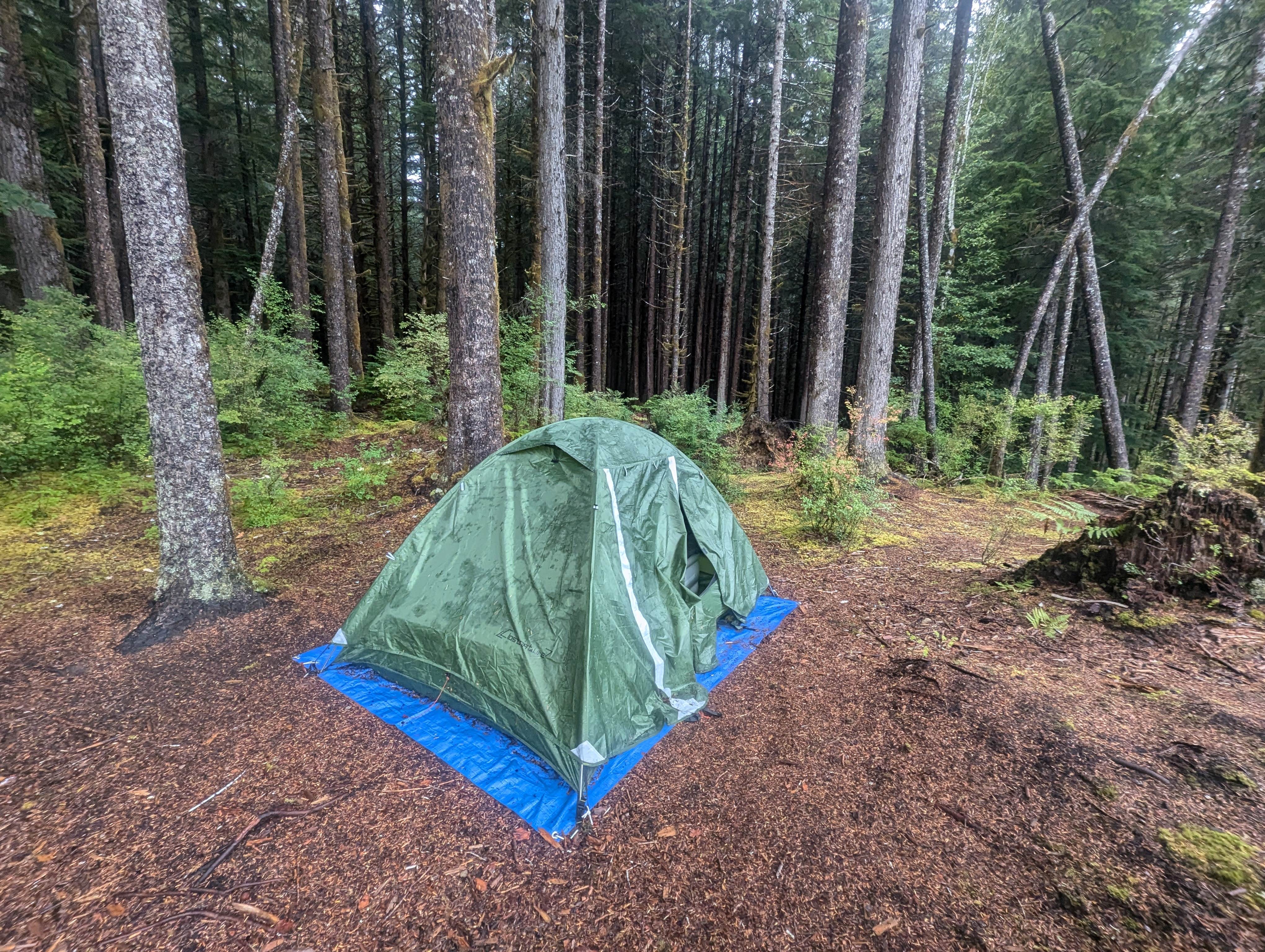 Camper-submitted photo at NF-2419 Dispersed Site near Bremerton, WA