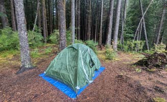 brandon W.'s photo of a dispersed camping area at NF-2419 Dispersed Site near Rochester, WA