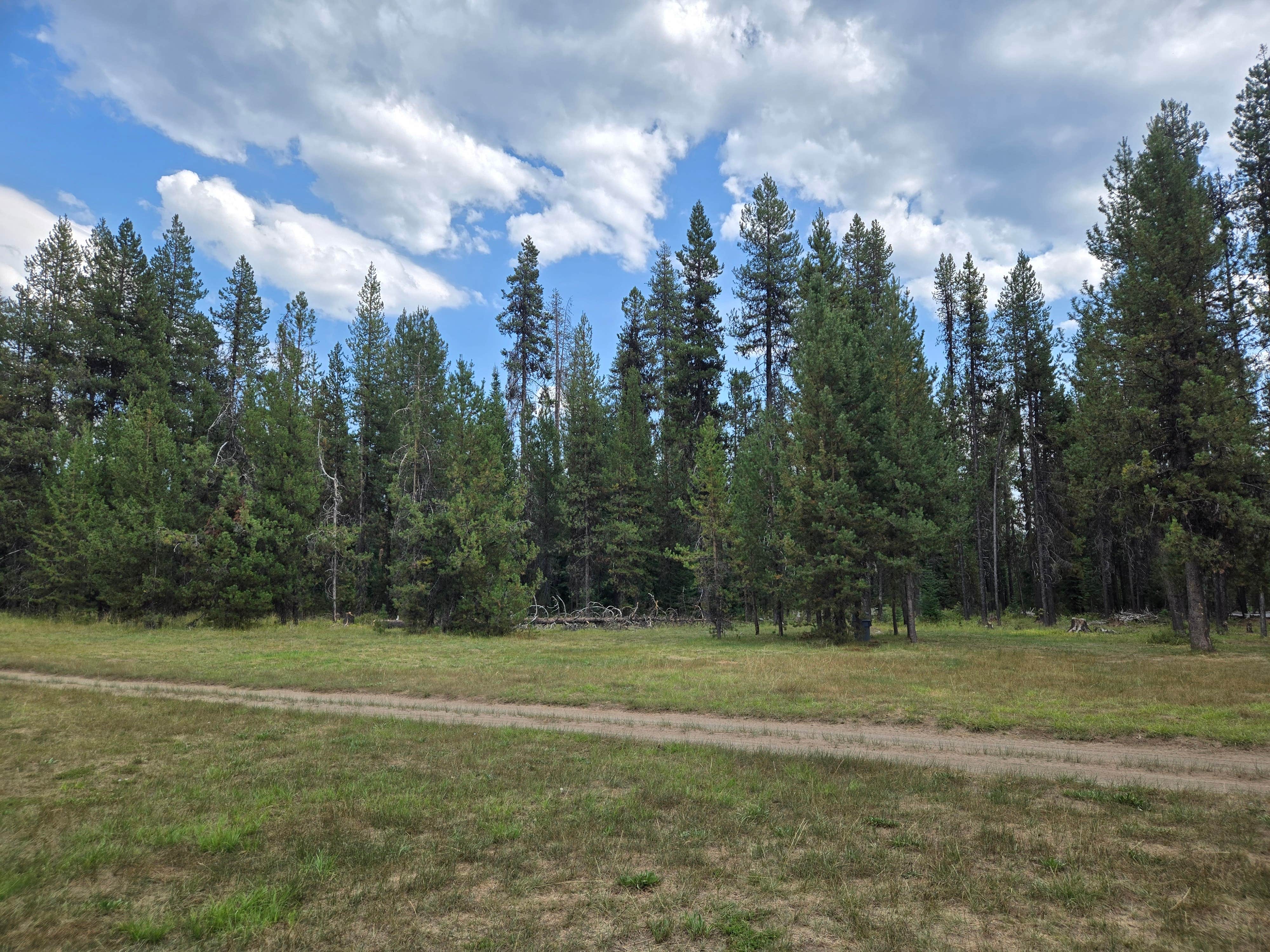Camper-submitted photo at NF 2612 Dispersed Camping near Diamond Lake, OR