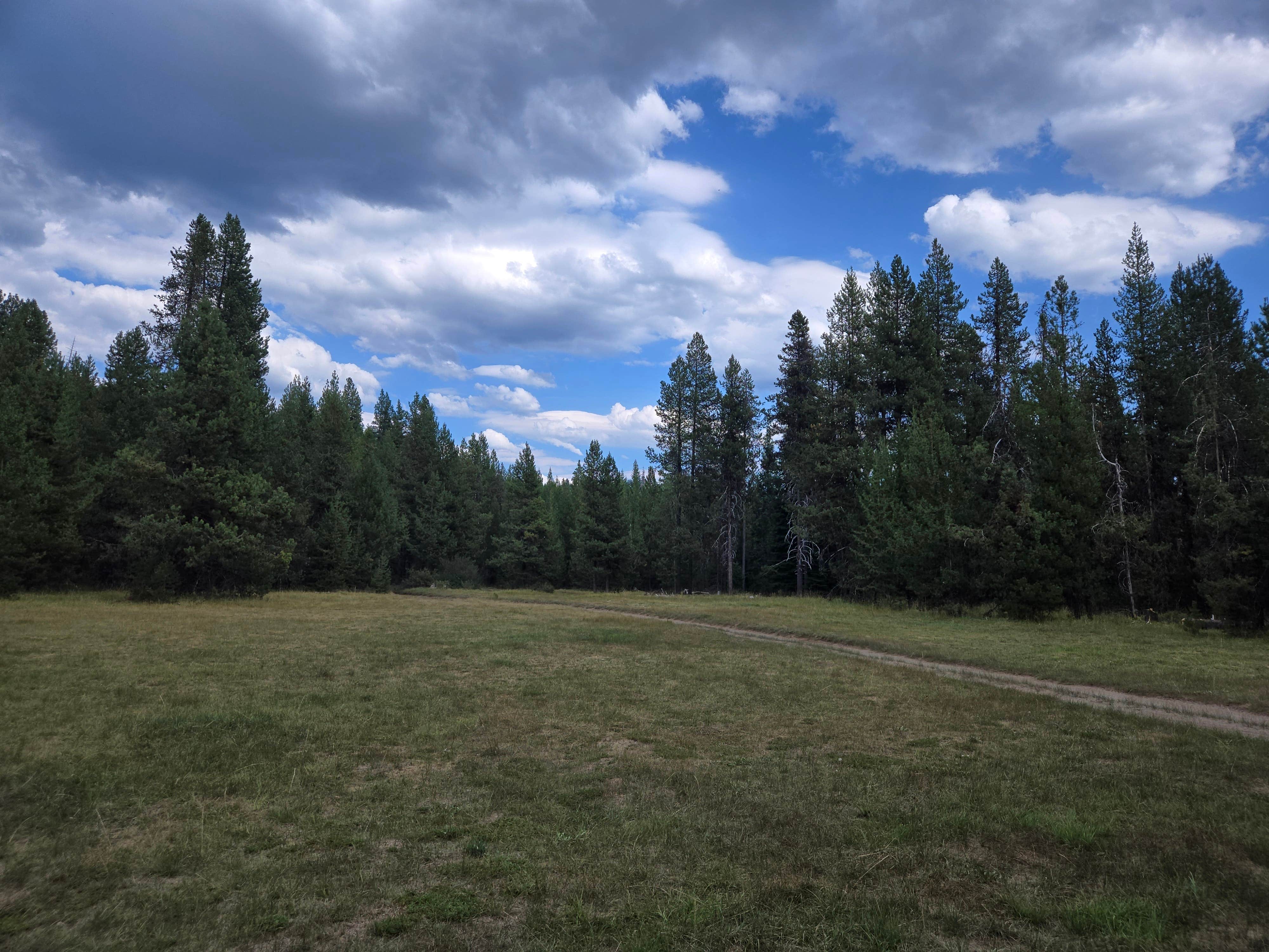 Steve M.'s photo of a dispersed camping area at NF 2612 Dispersed Camping near Idleyld Park, OR