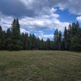 Review photo of NF 2612 Dispersed Camping by Steve M., September 2, 2025
