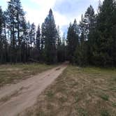 Review photo of NF 2612 Dispersed Camping by Steve M., September 2, 2025