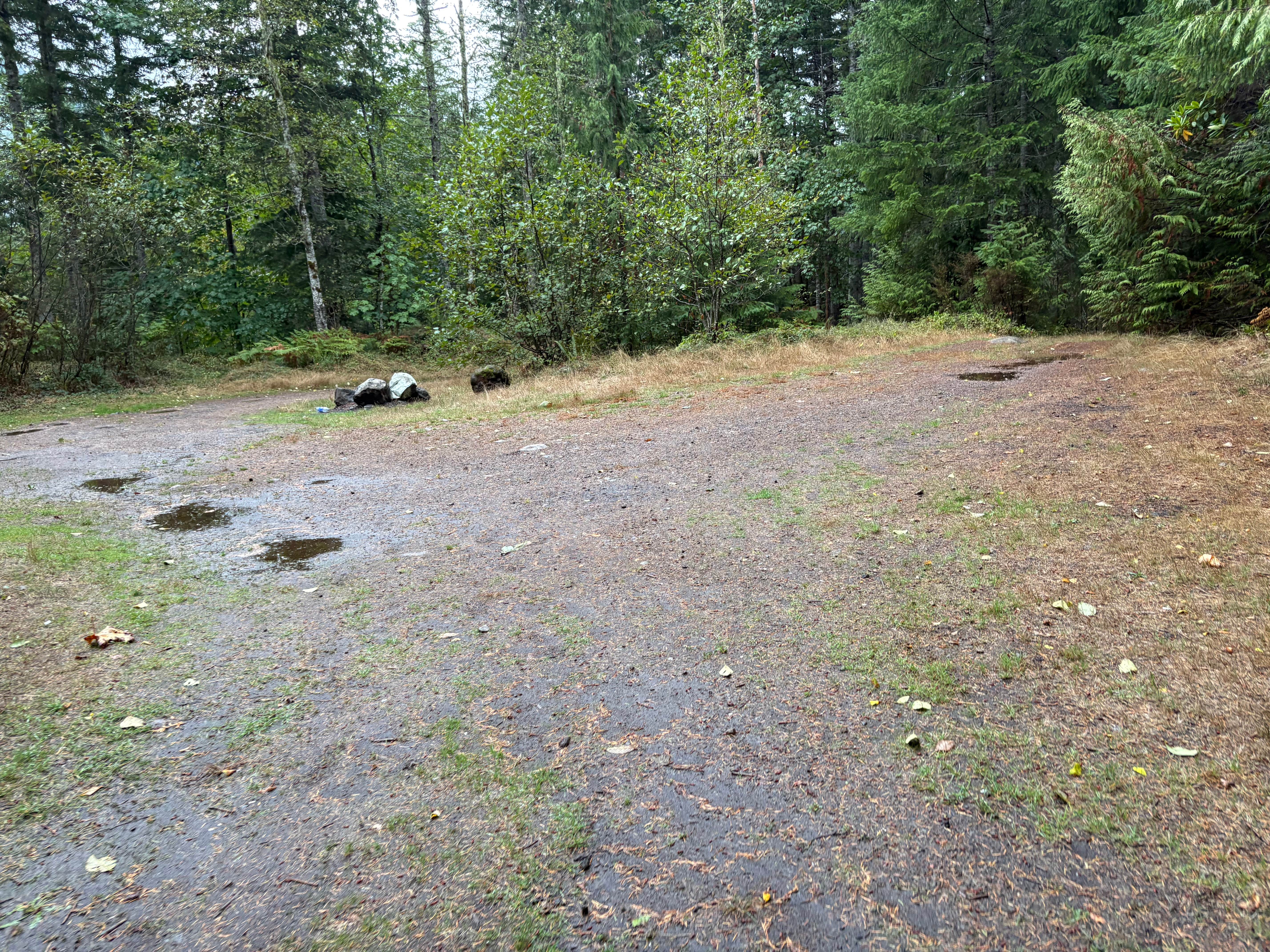 Camper-submitted photo at NF-27 Tunnel Creek near Bremerton, WA