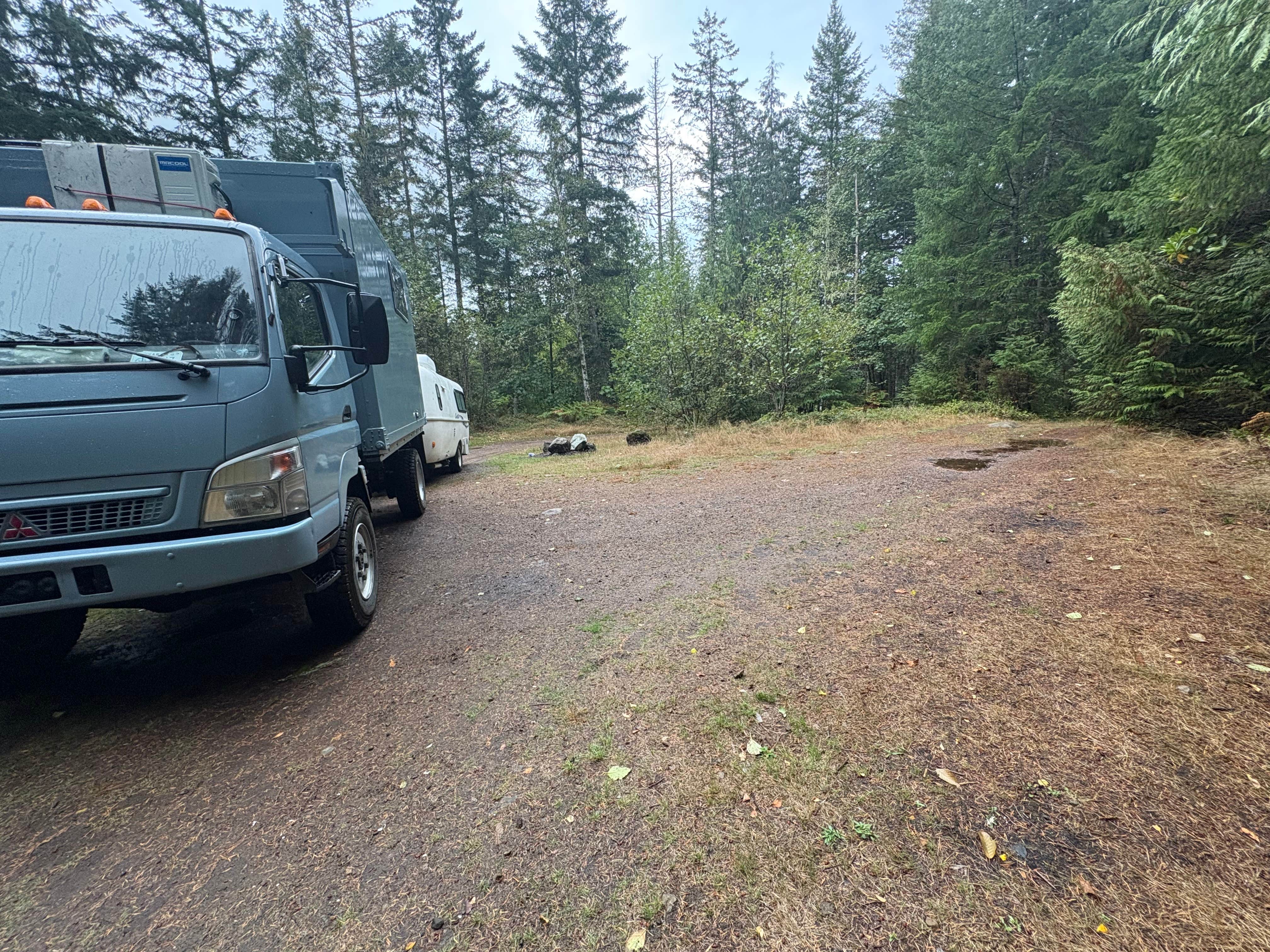 Camping near Large Pull Out (Dispersed) on FR 24: NF-27 Tunnel Creek, Quilcene, Washington