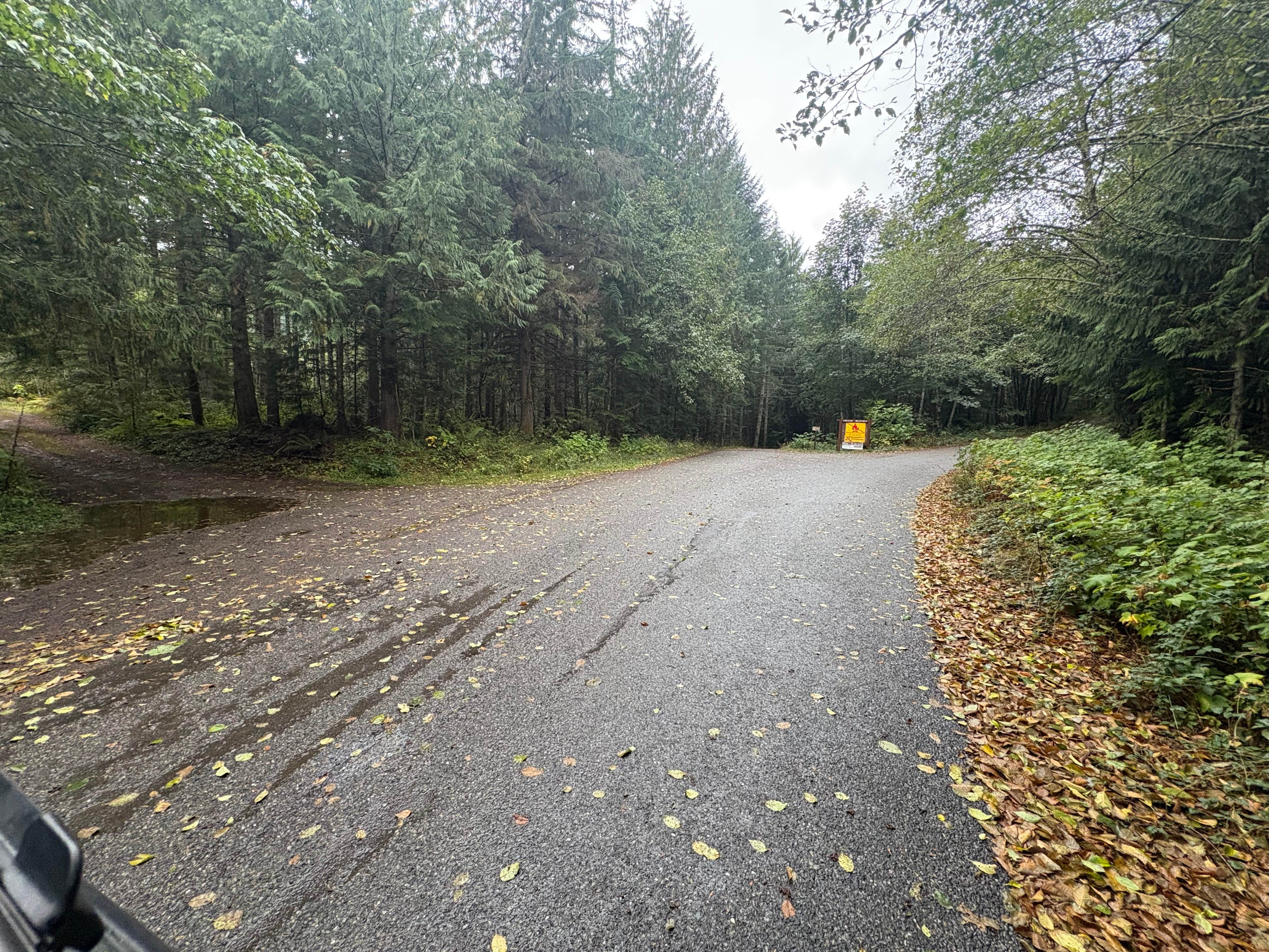 Camper-submitted photo at NF-27 Tunnel Creek near Bremerton, WA