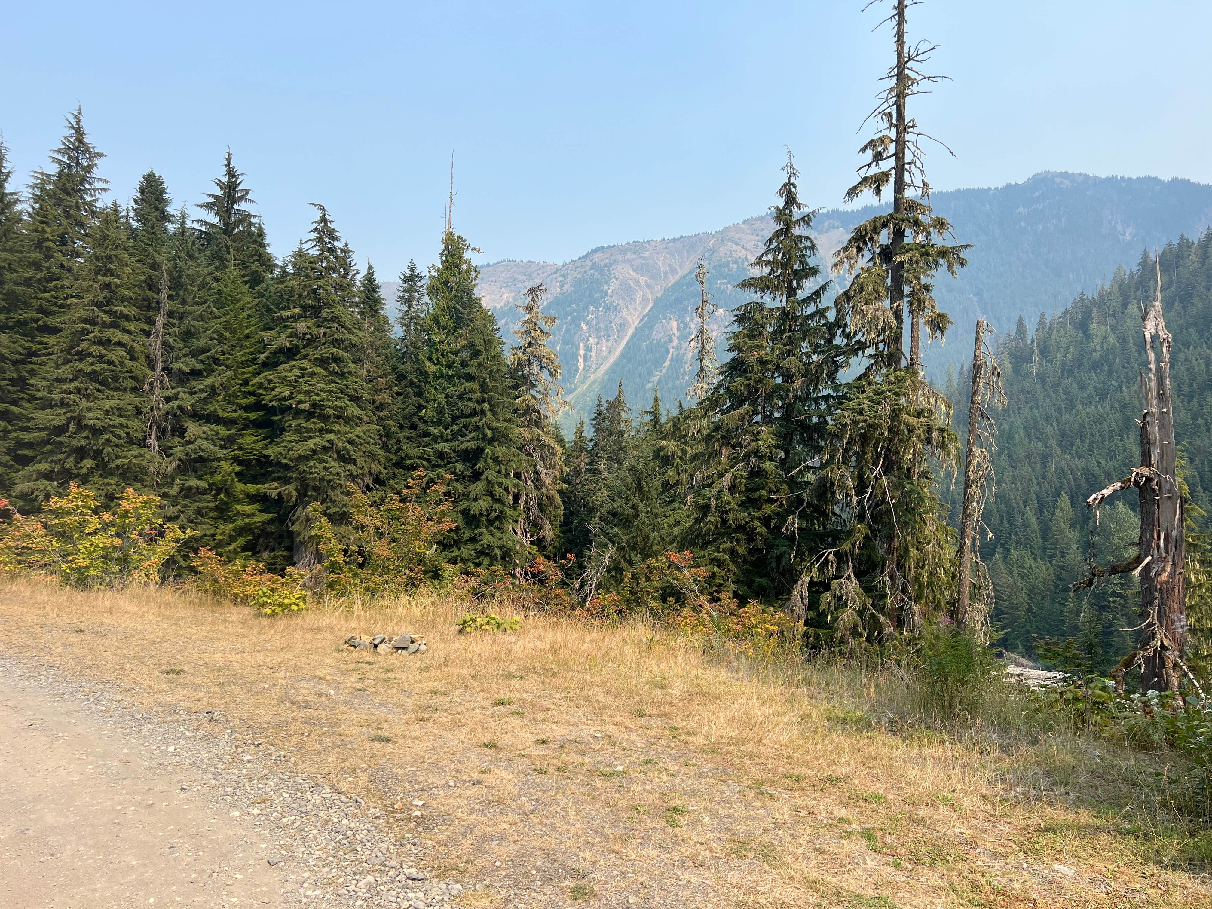 Camper-submitted photo at NF 33 Dispersed Camping near Lynden, WA