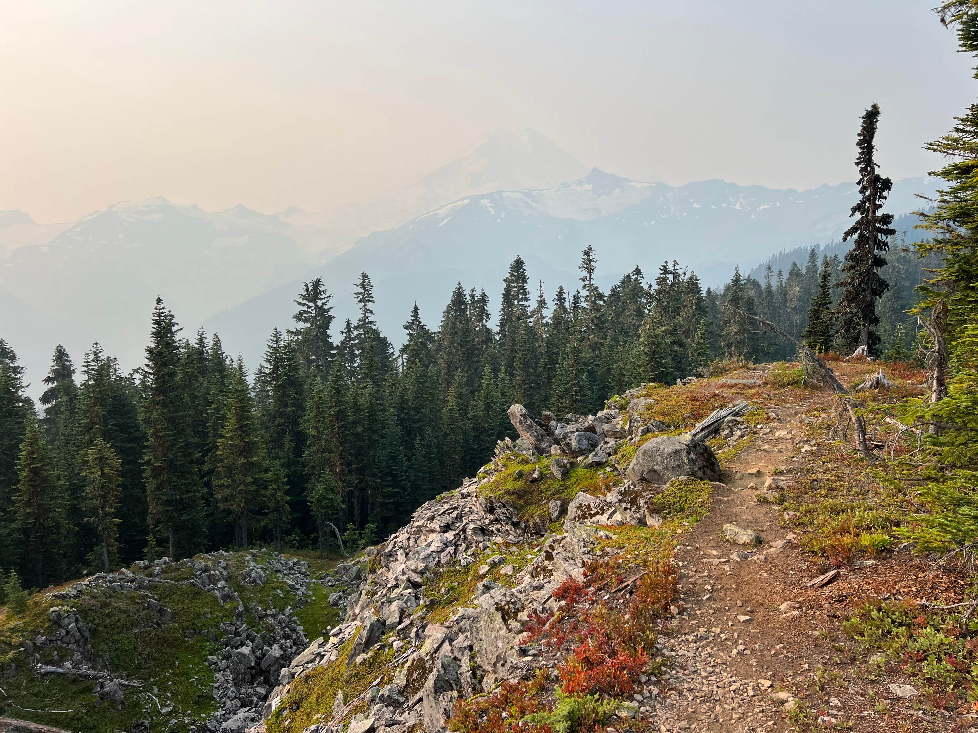 Camper-submitted photo at NF 33 Dispersed Camping near Lynden, WA