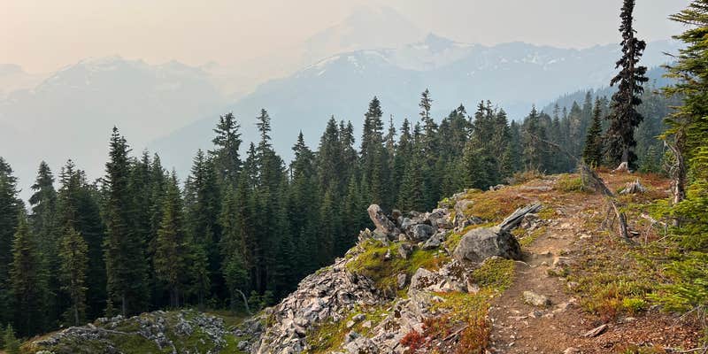 Camper submitted image from NF 33 Dispersed Camping