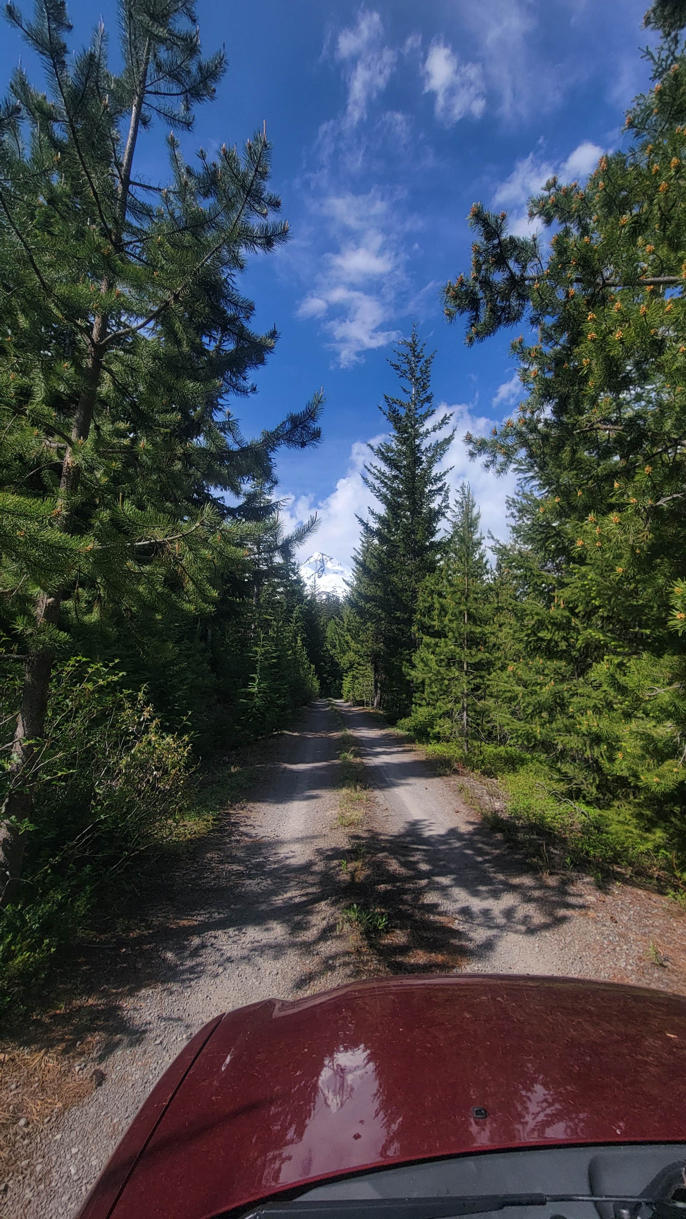 Camping near Top ‘O the Mountain: NF-3511 @ Mt Hood, Government Camp, Oregon