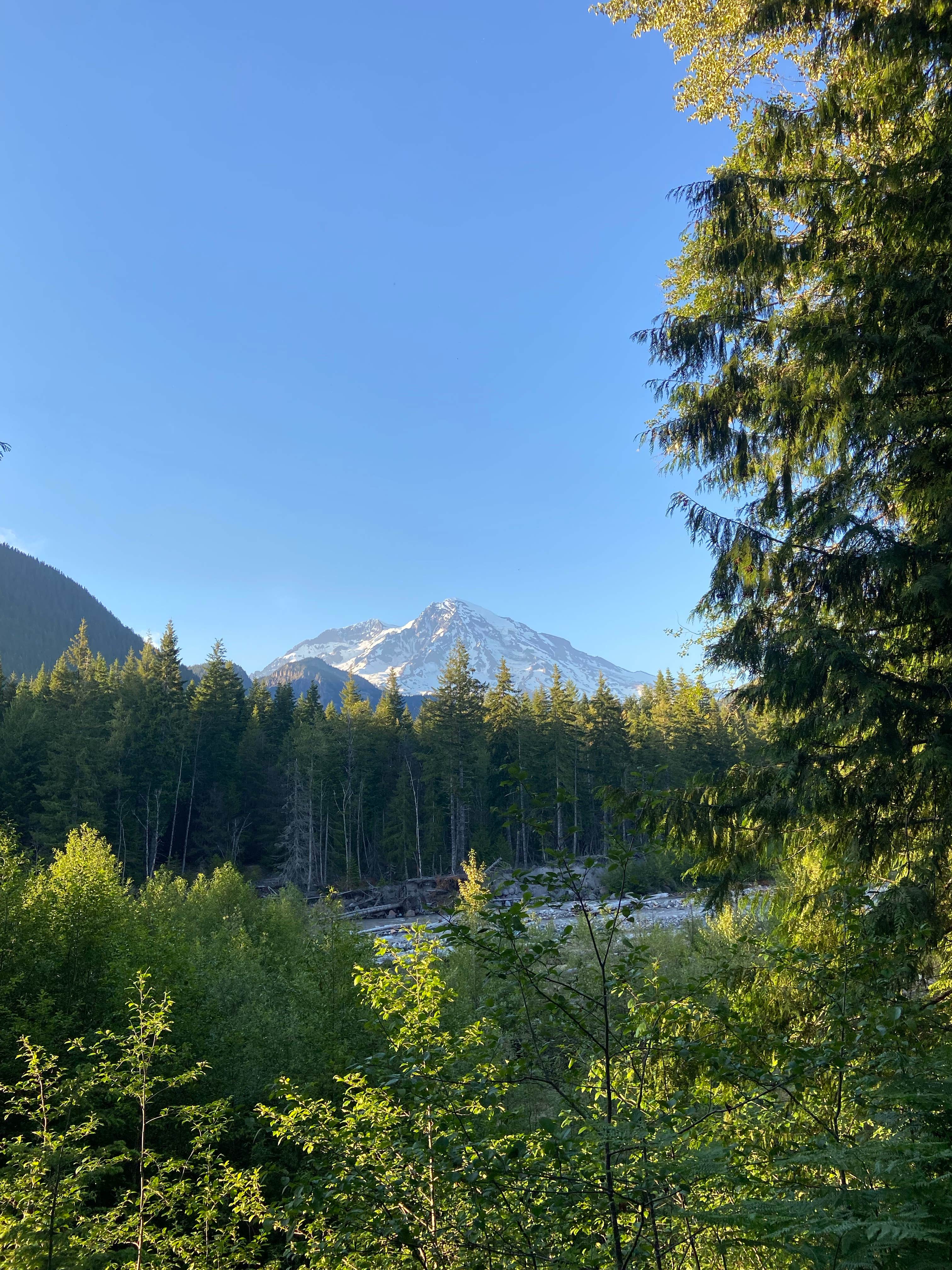 Camper-submitted photo at NF-52 Dispersed Camping near Lake Tapps, WA