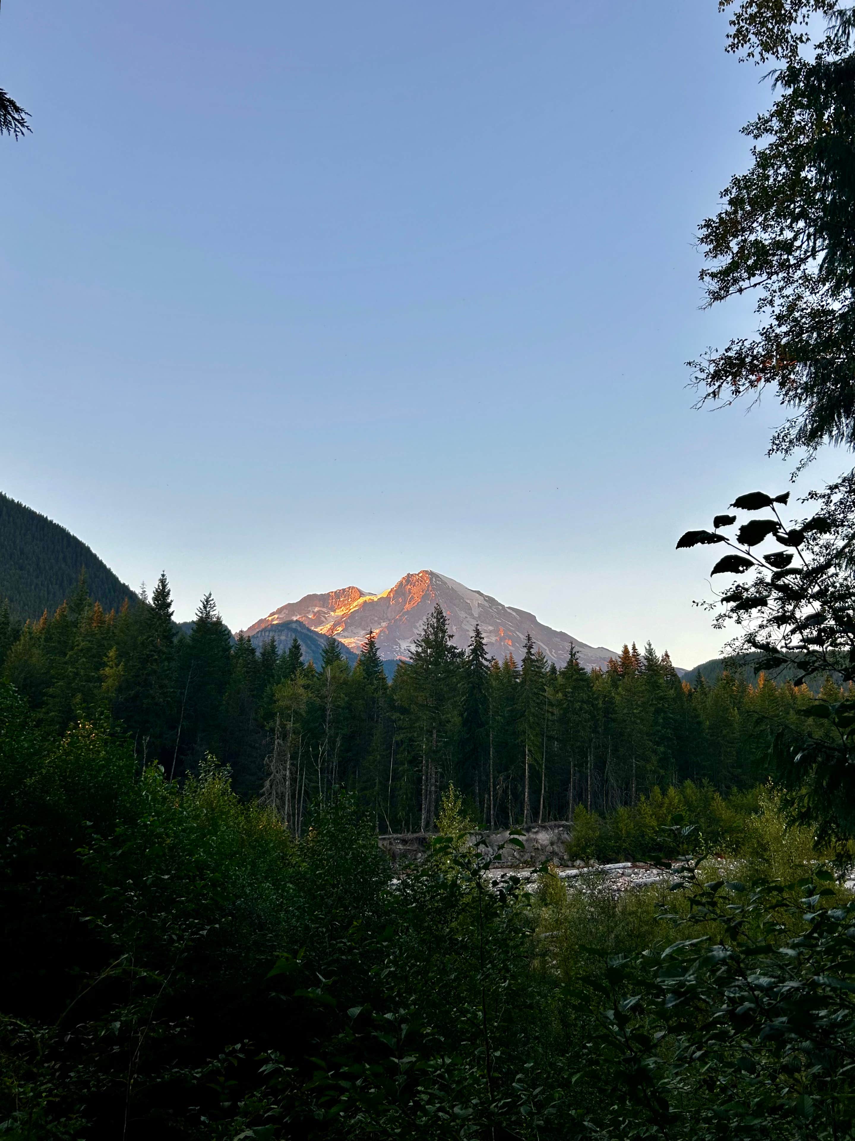 Camper-submitted photo at NF-52 Dispersed Camping near Lake Tapps, WA