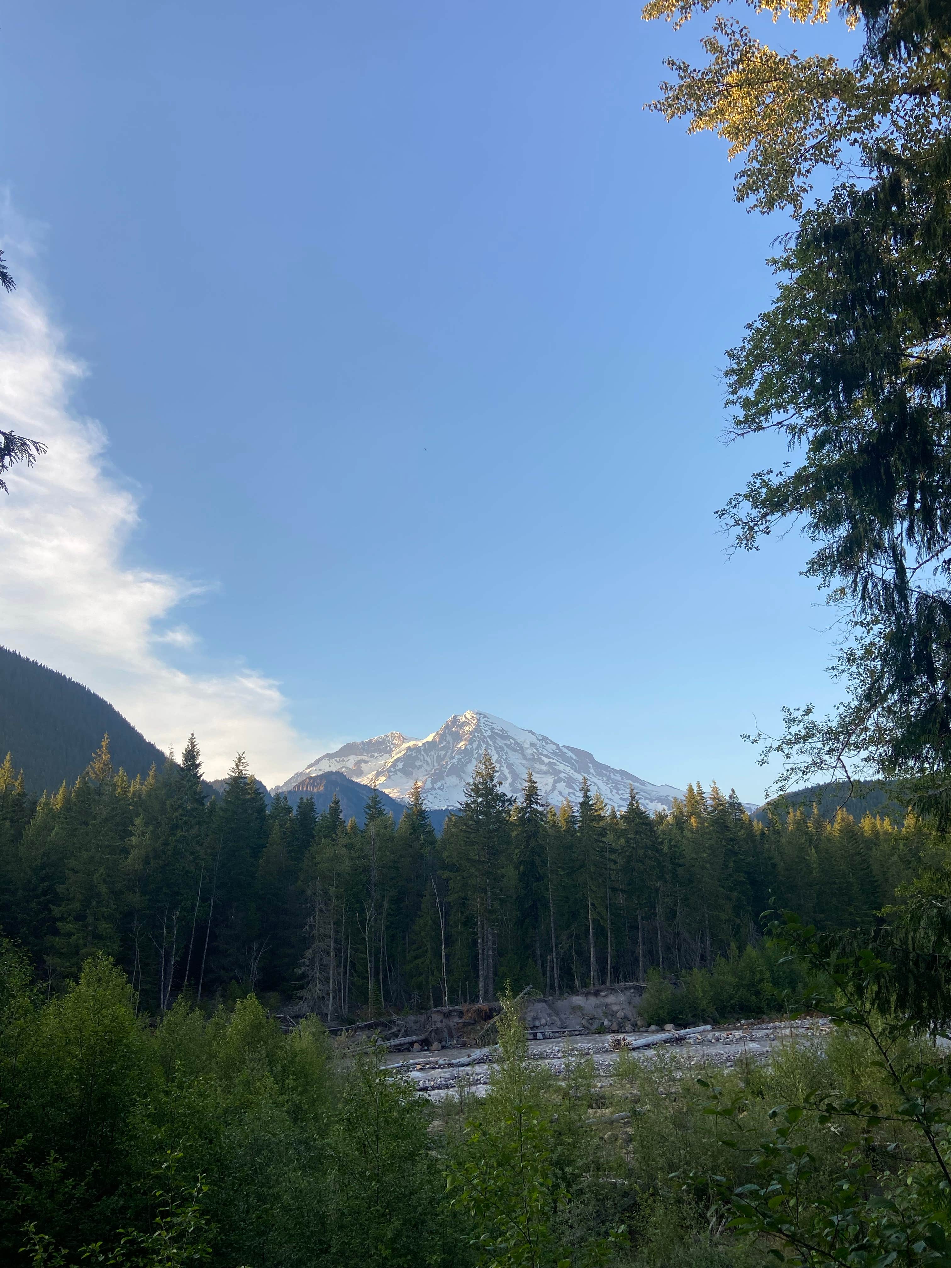 Camper-submitted photo at NF-52 Dispersed Camping near Lake Tapps, WA