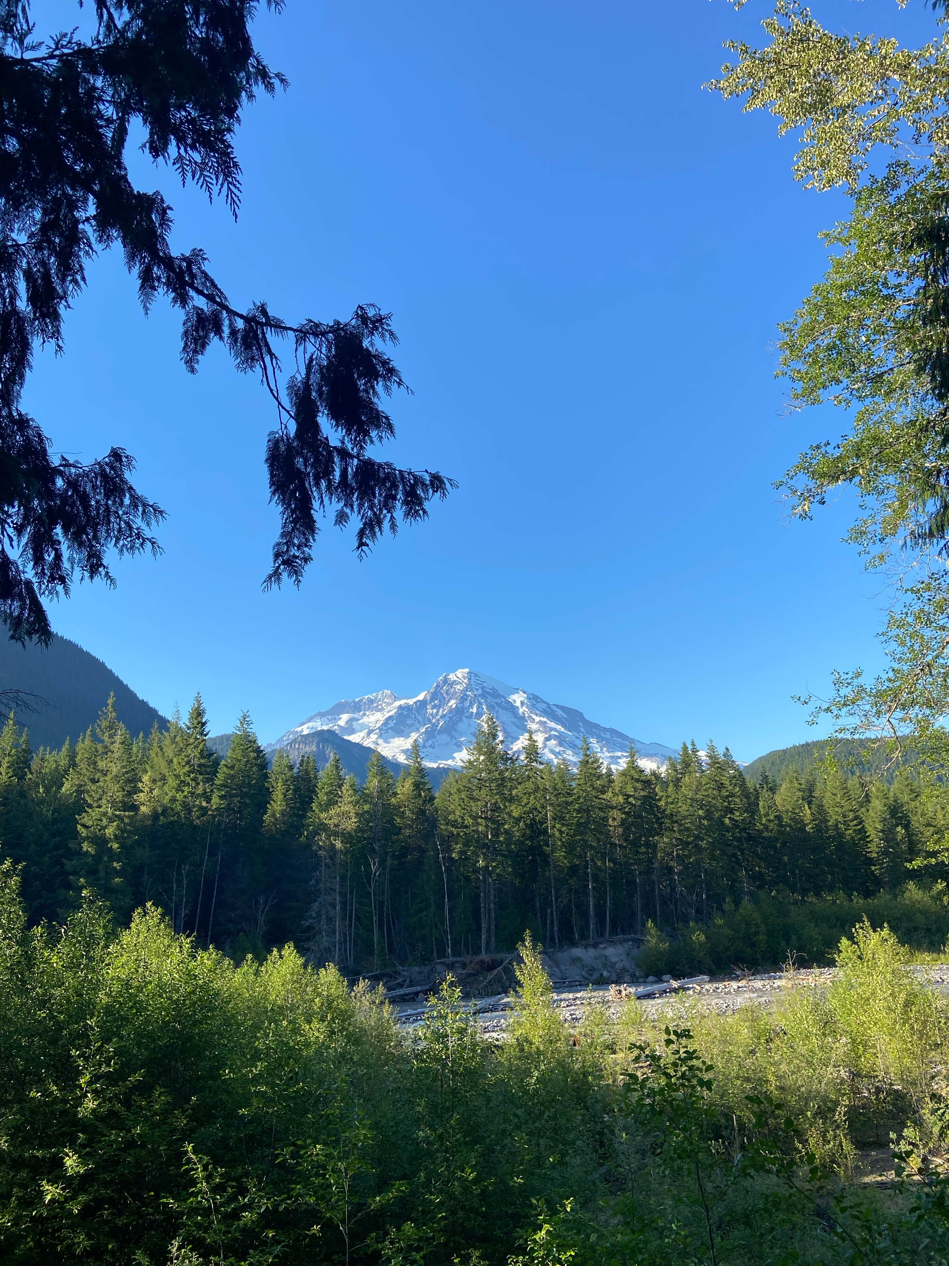 Camper-submitted photo at NF-52 Dispersed Camping near Ashford, WA