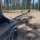 Review photo of NF-70 Dispersed Camping Near Crater Lake NP by matt , August 5, 2025