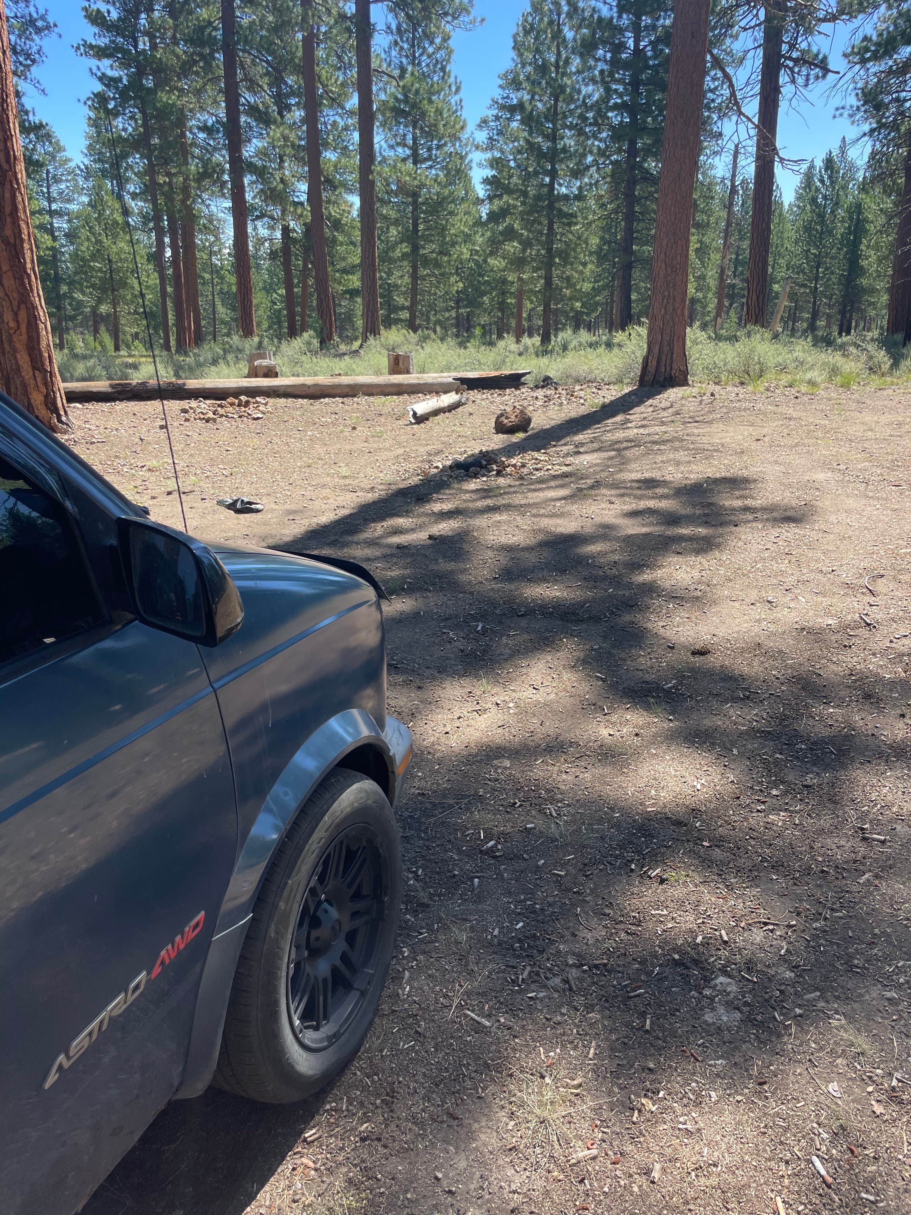 Camper submitted image from NF-70 Dispersed Camping Near Crater Lake NP - 5
