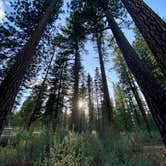 Review photo of NF-70 Dispersed Camping Near Crater Lake NP by Wendy M., June 6, 2025