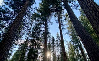 Wendy M.'s photo of a dispersed camping area at NF-70 Dispersed Camping Near Crater Lake NP near Fort Rock, OR