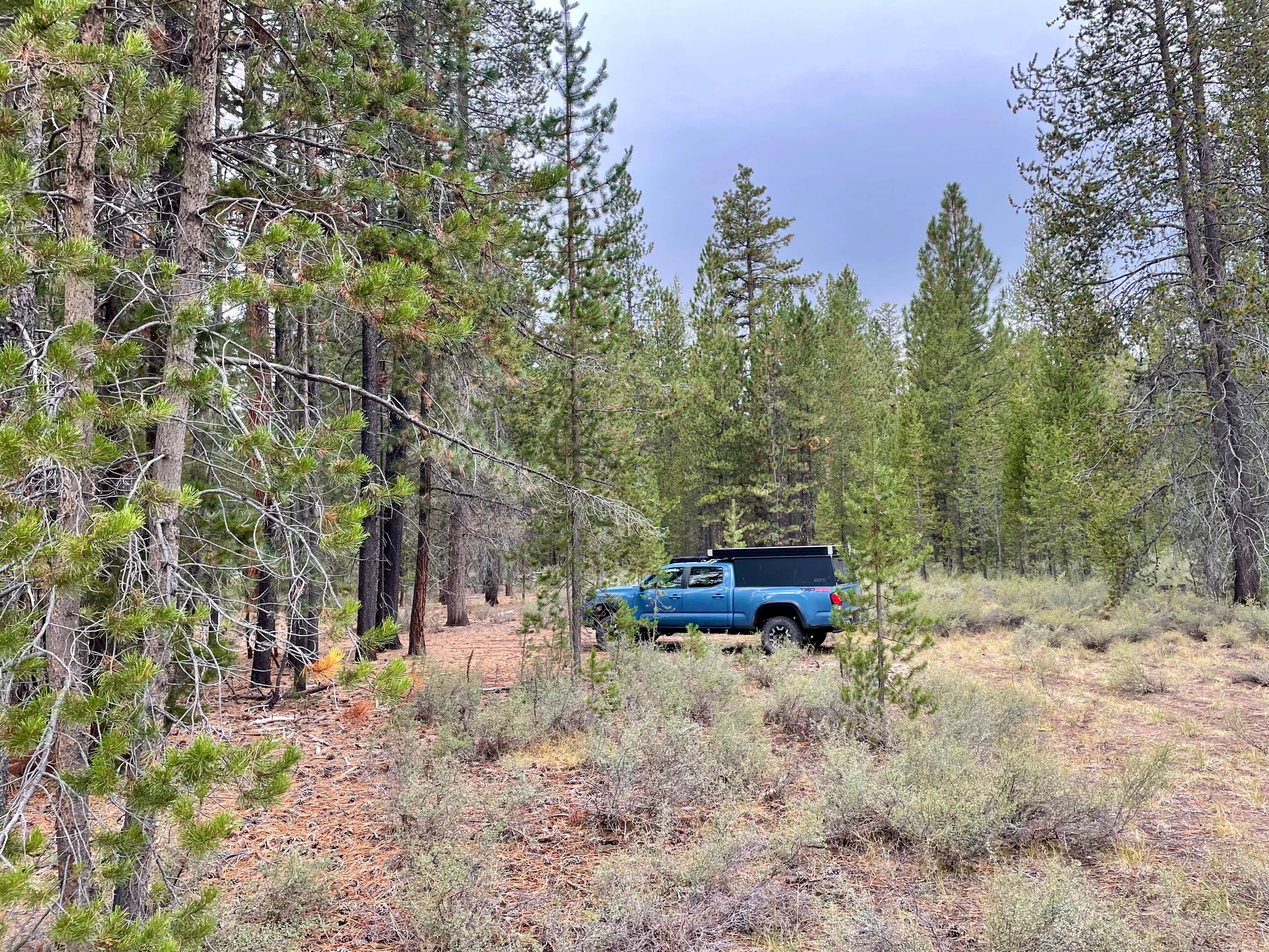 Camper-submitted photo at NF-70 Dispersed Camping Near Crater Lake NP near Crater Lake National Park