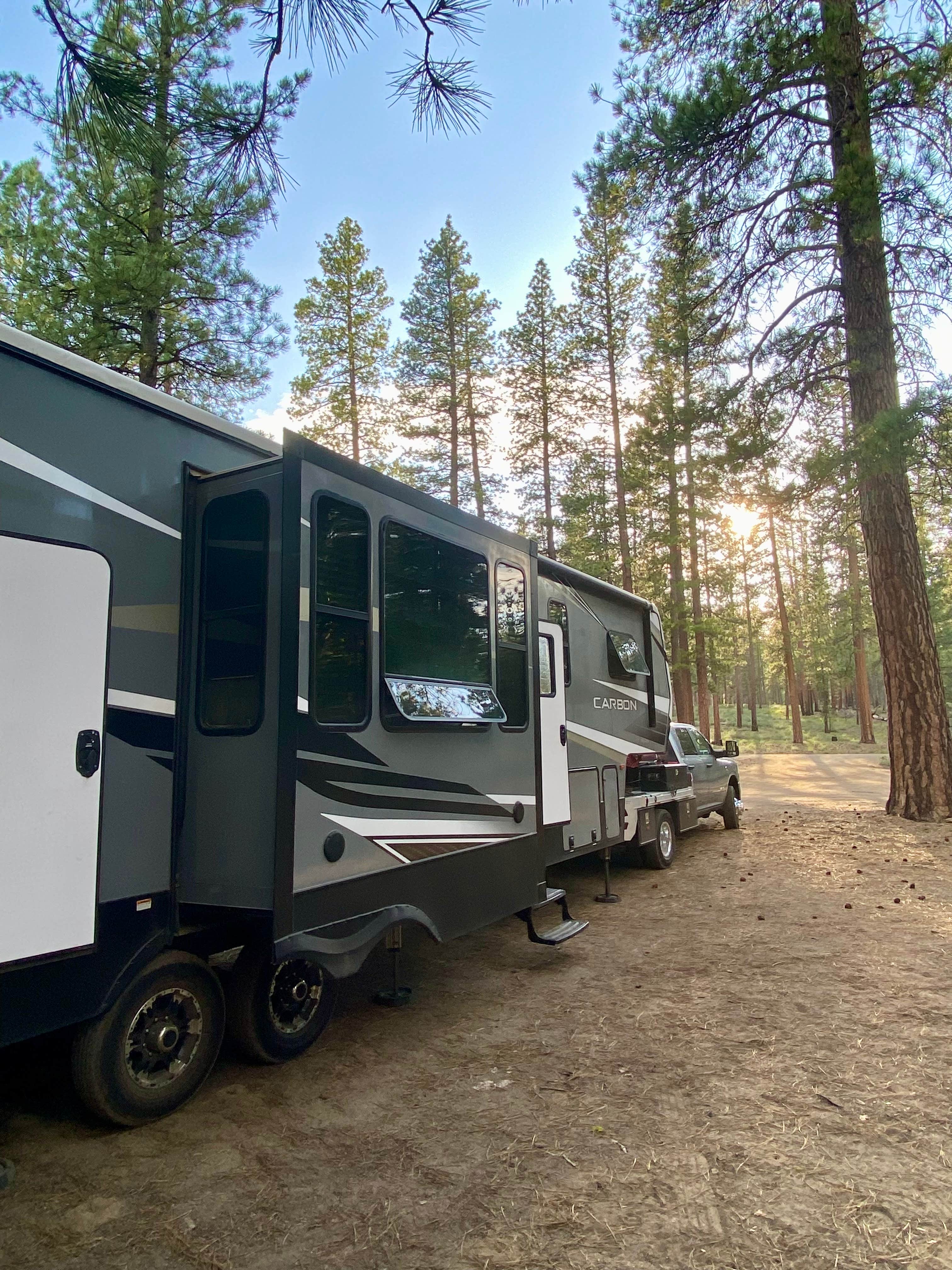 Camper submitted image from NF-70 Dispersed Camping Near Crater Lake NP - 4