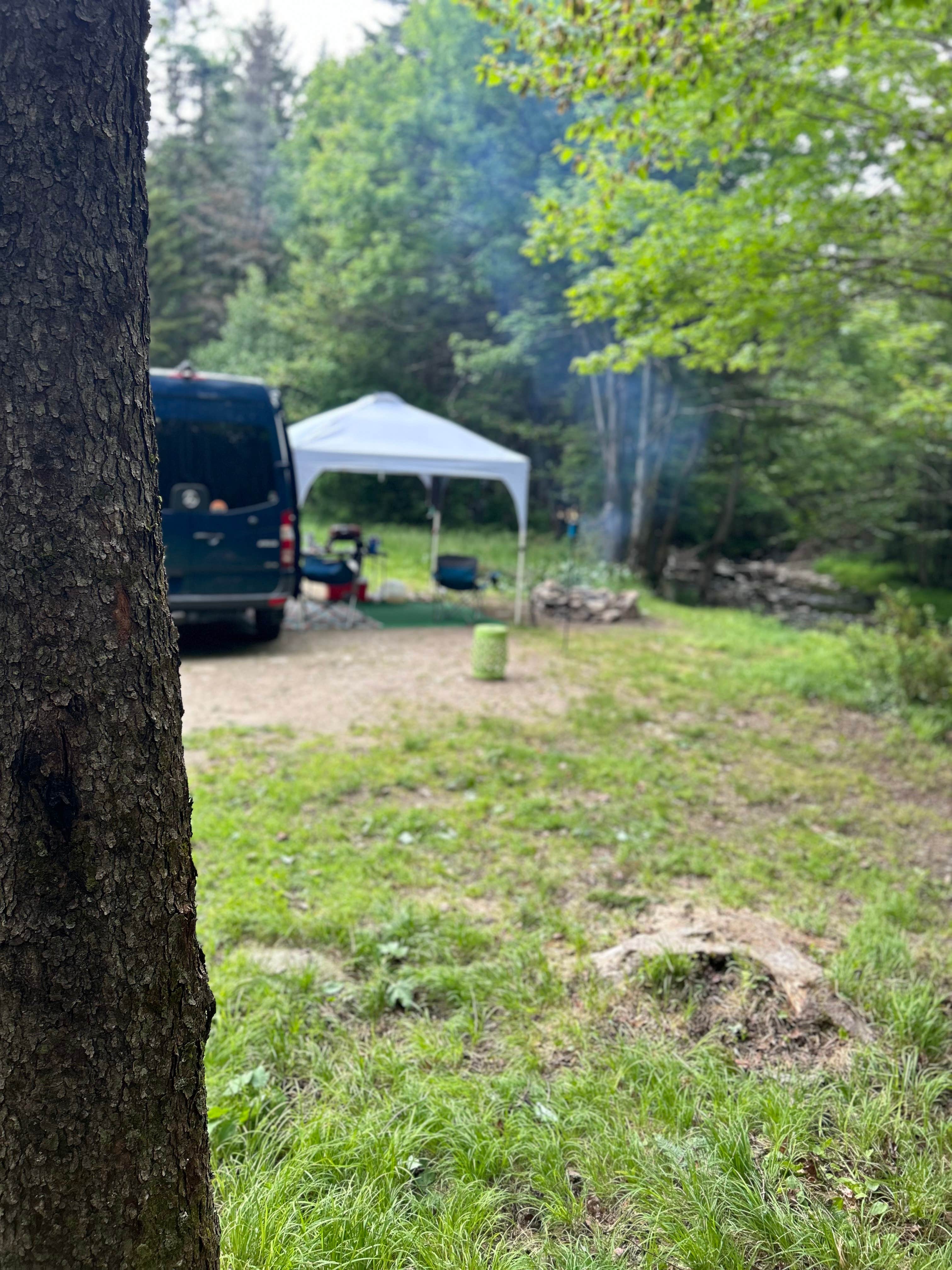 Thomas and James S.'s photo of a dispersed camping area at NF 83 - riverside near Whately, MA