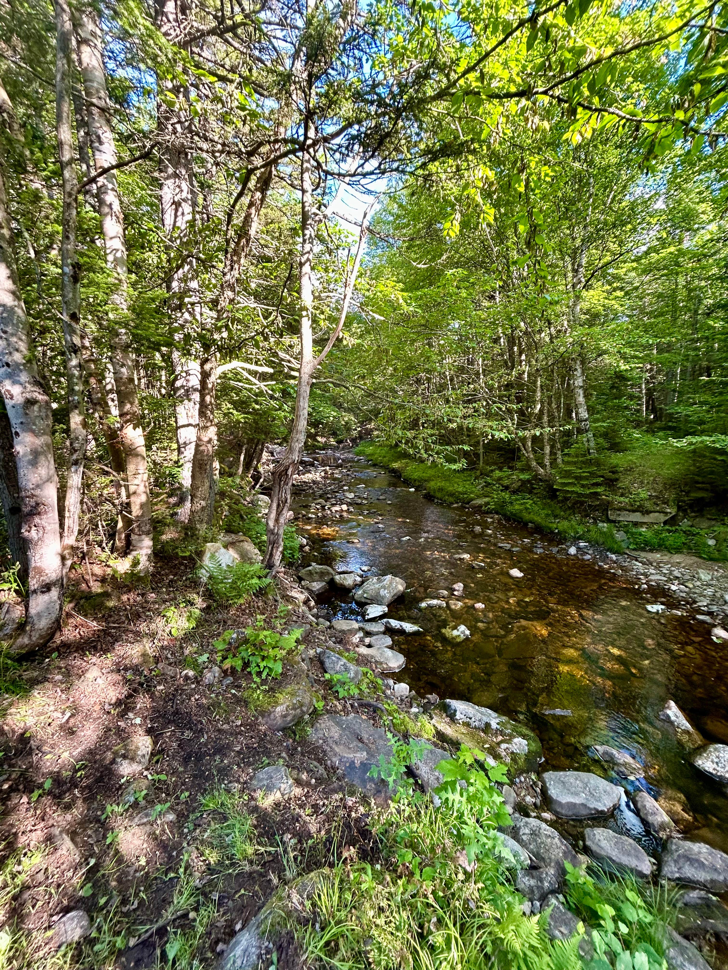 Camper submitted image from NF 83 - riverside - 4