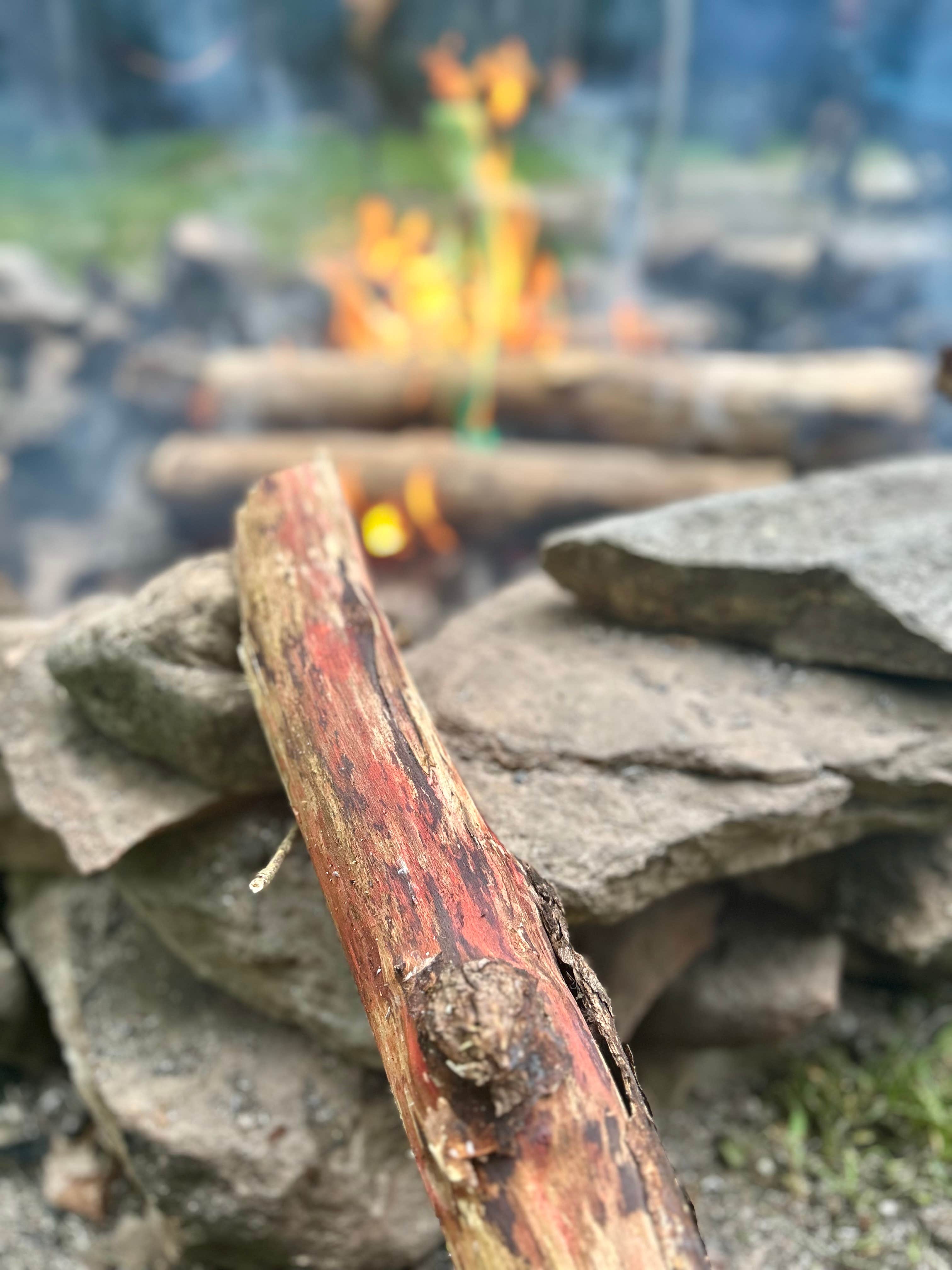 Camper-submitted photo at NF 83 - riverside near Whately, MA