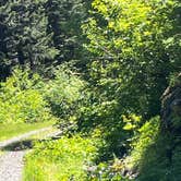 Review photo of Gifford Pinchot National Forest Dispersed Site by charlie A., June 13, 2026