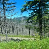 Review photo of Gifford Pinchot National Forest Dispersed Site by charlie A., June 13, 2026