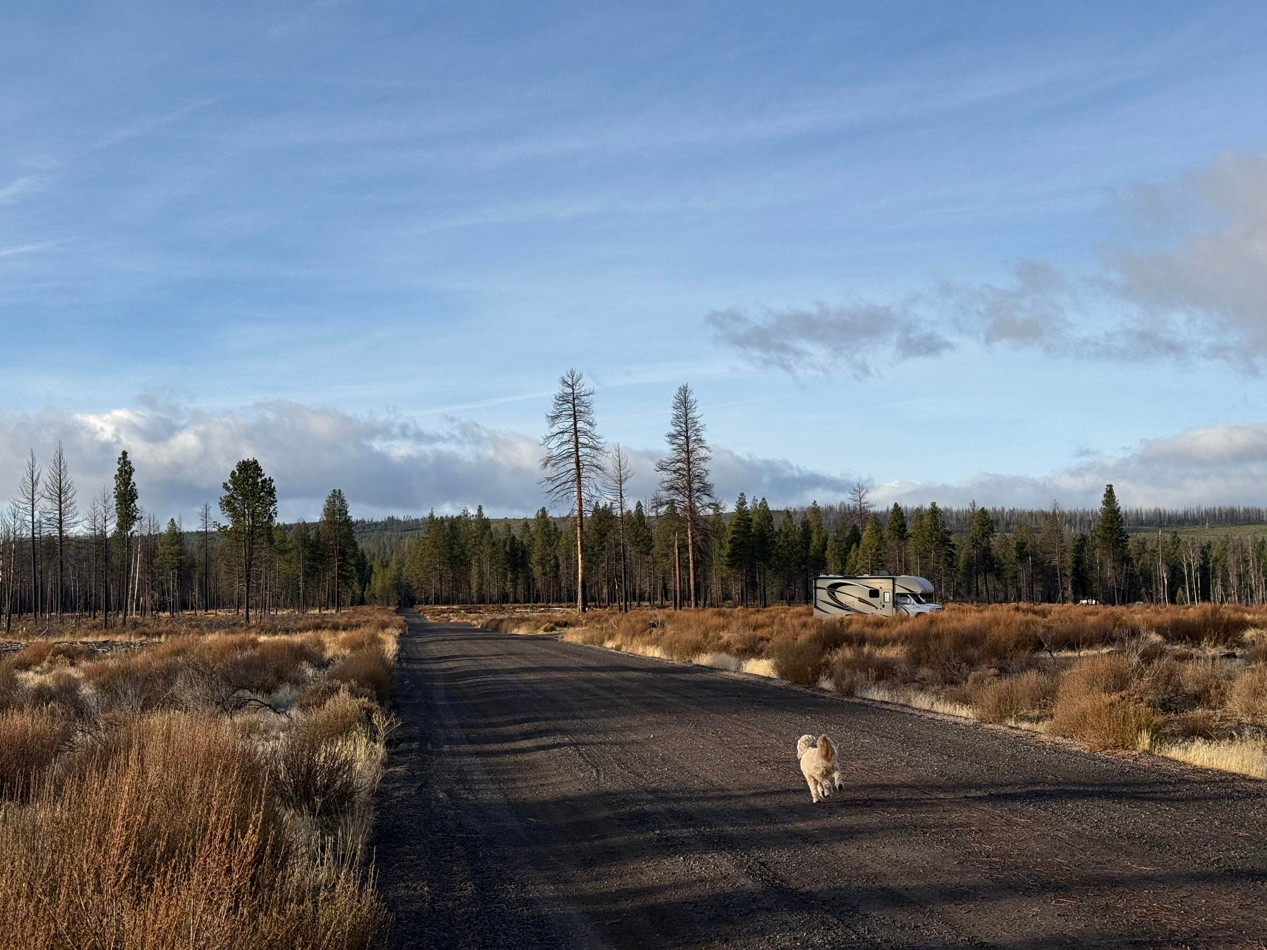 David L.'s photo of a dispersed camping area at NF-9730 near Klamath Falls, OR