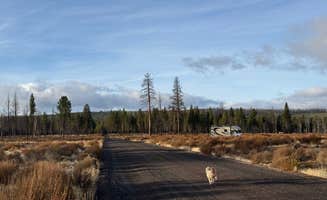 David L.'s photo of a dispersed camping area at NF-9730 near Fremont-Winema National Forest