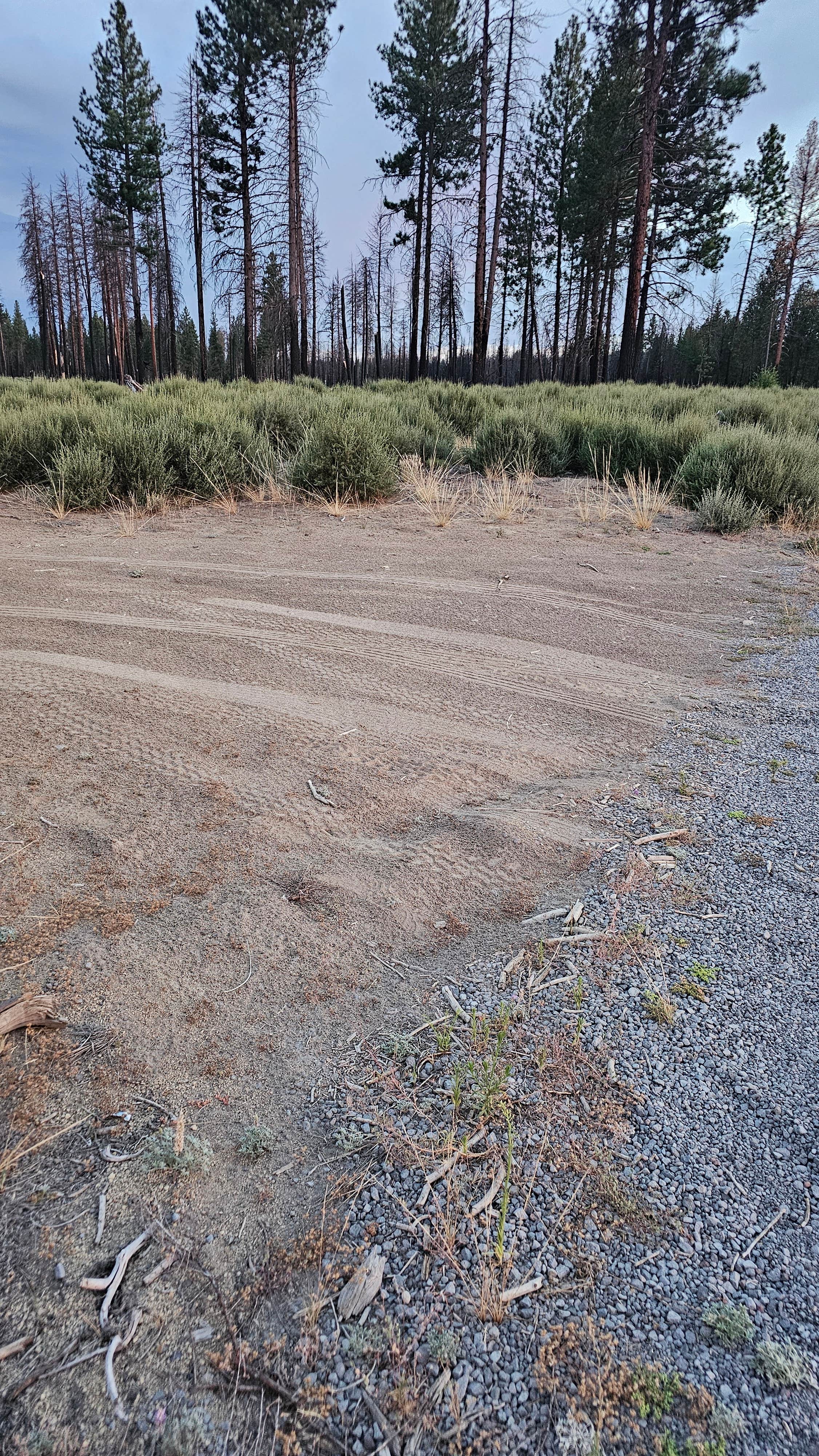 Camper submitted image from NF-9730 - 4