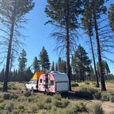 Review photo of NF-9730 by Grant M., June 21, 2026
