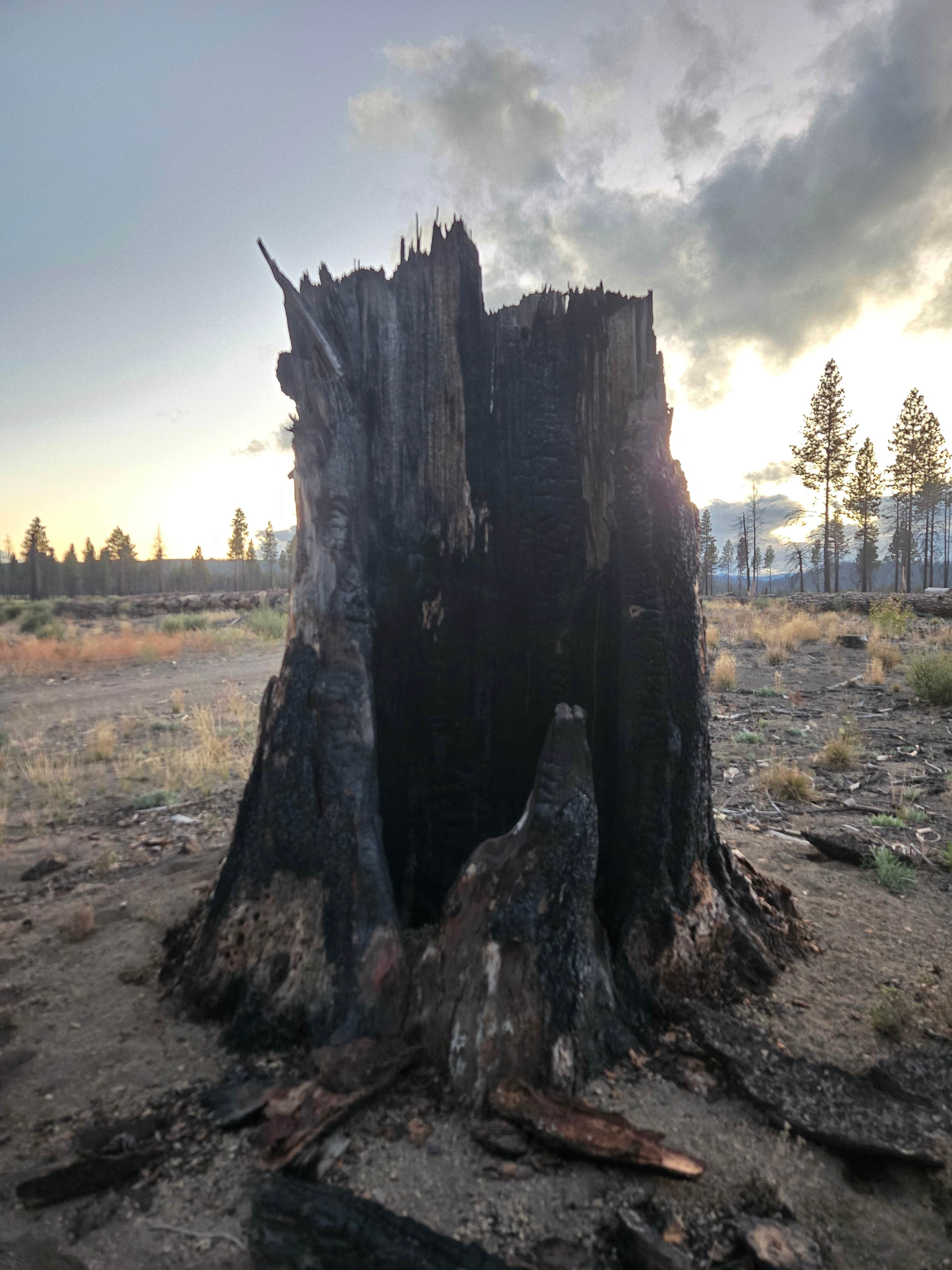 Camper-submitted photo at NF-9730 near Fort Klamath, OR