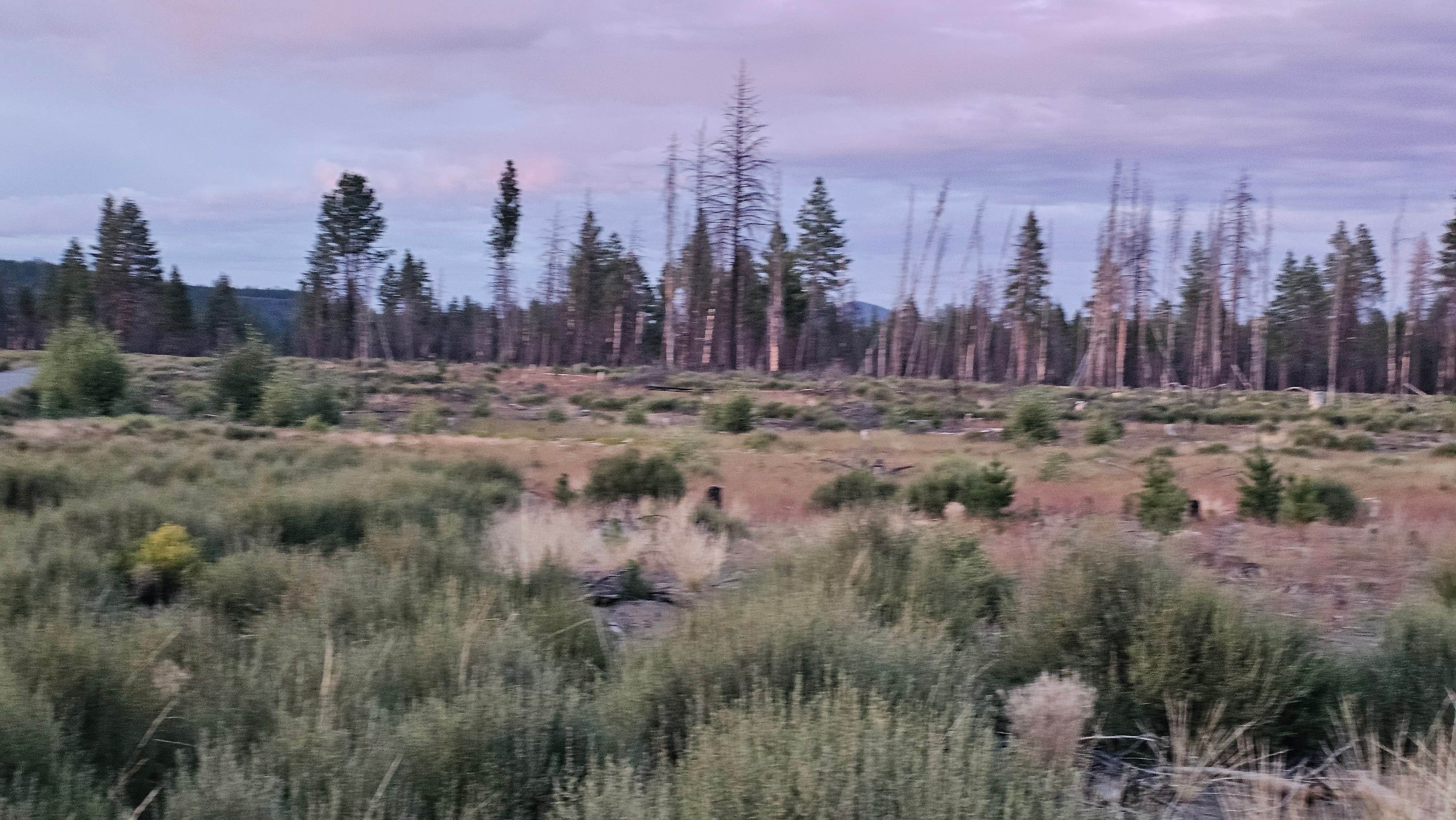 Camping near Kla-Mo-Ya Casino and Travel Center: NF-9730, Chiloquin, Oregon