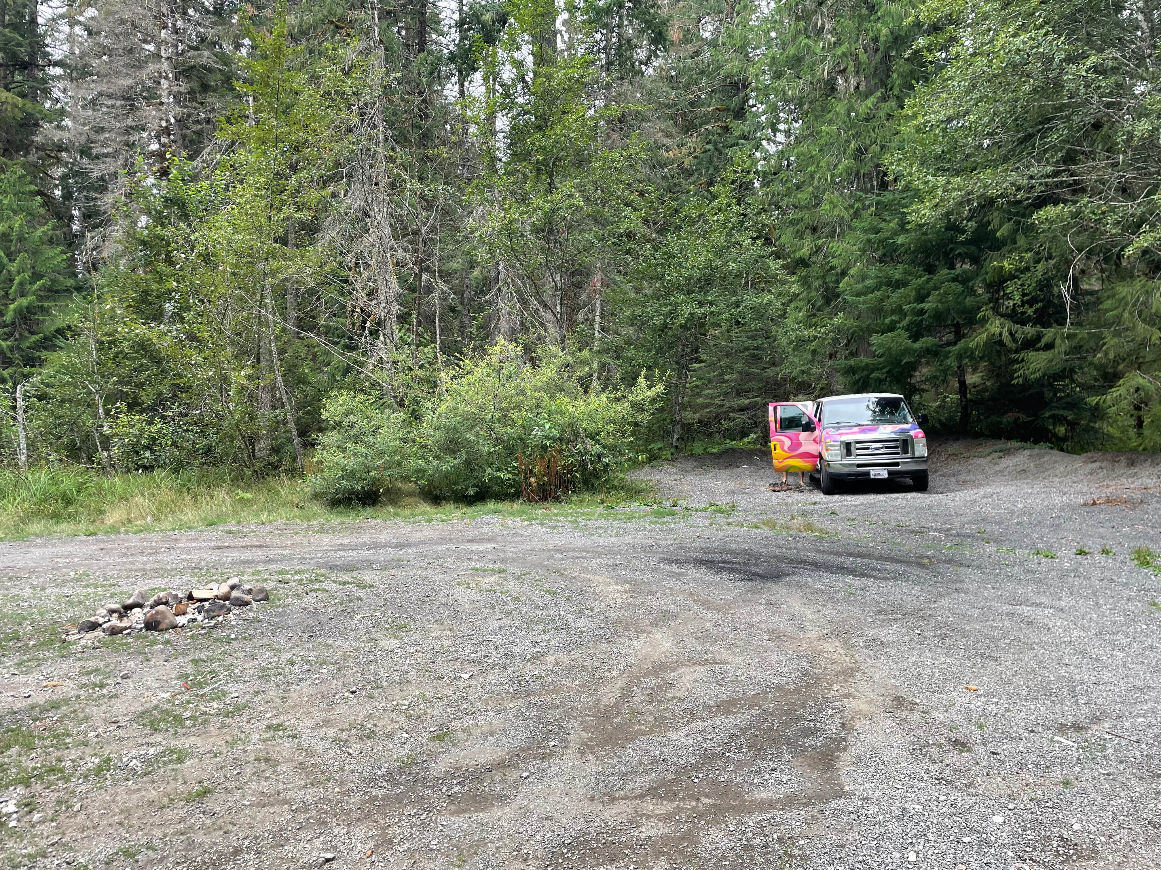 Camper submitted image from NF Big Dispersed Camping Spot - 1