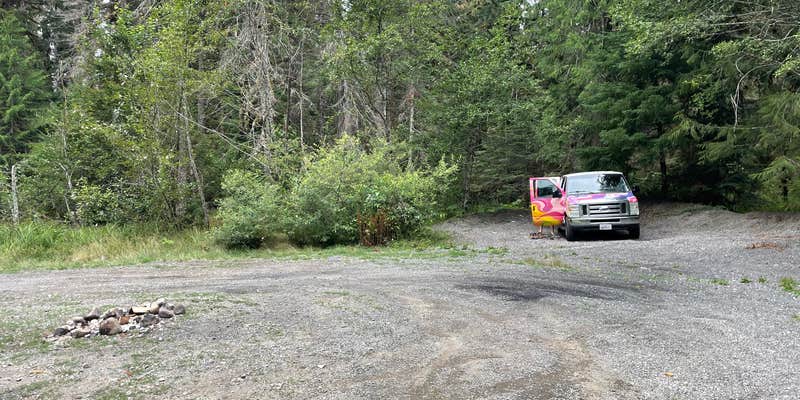 Camper submitted image from NF Big Dispersed Camping Spot