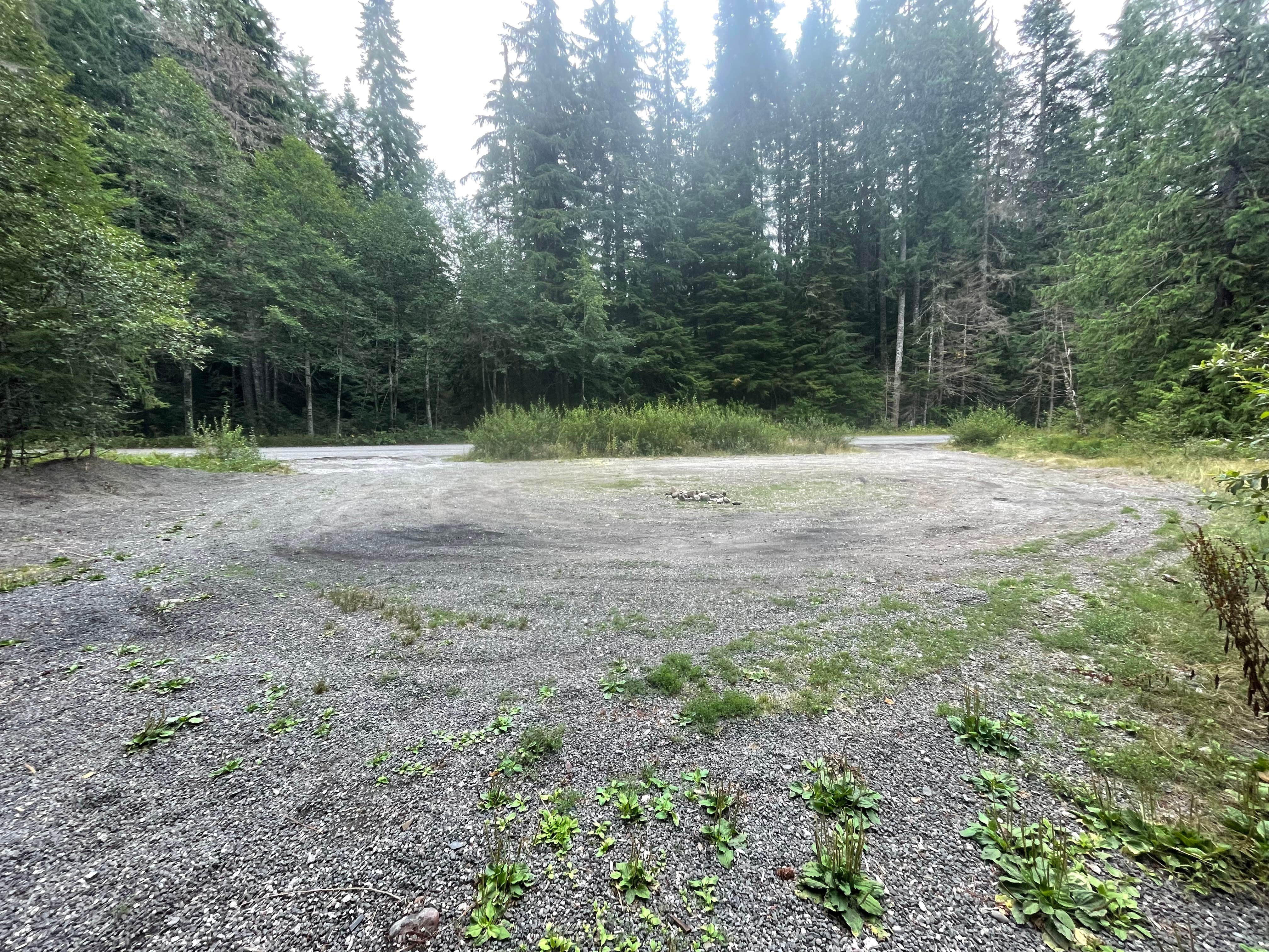 Camper-submitted photo at NF Big Dispersed Camping Spot near Elbe, WA