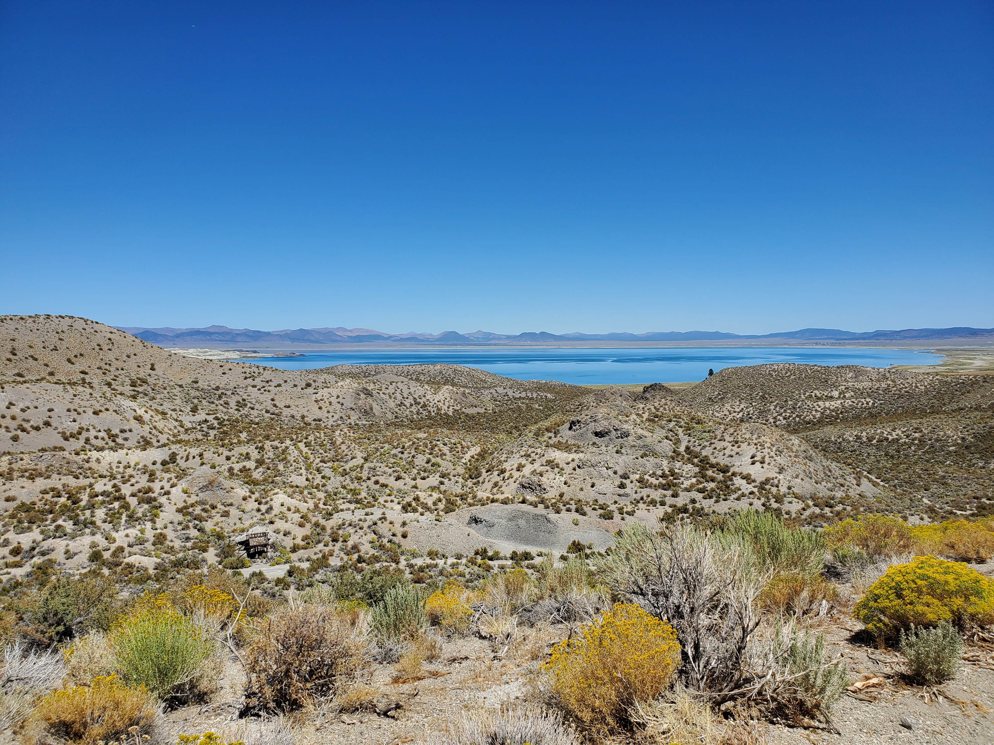 Camper-submitted photo at Mono Basin Dispersed Camp Site near Lee Vining, CA