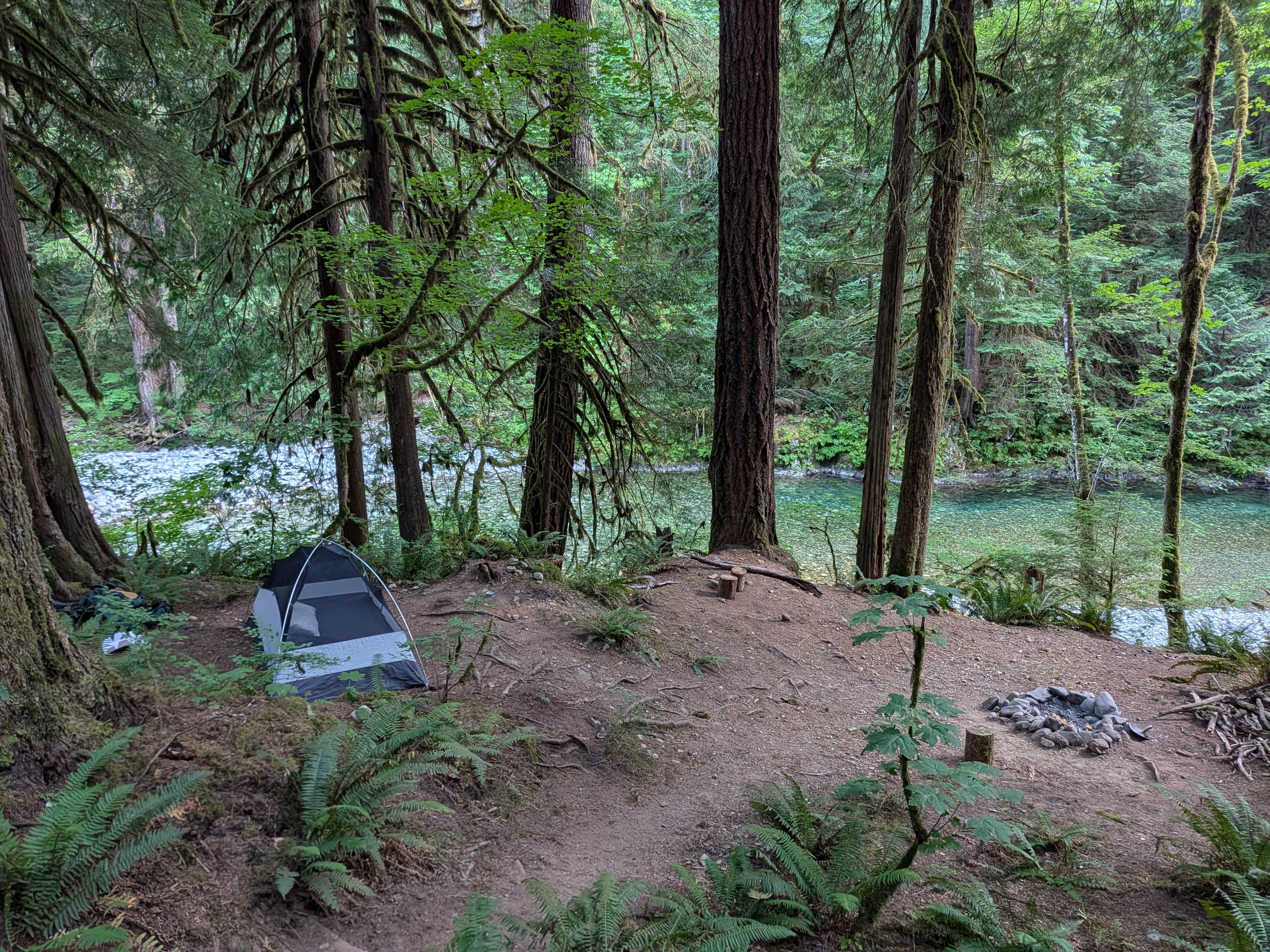 Camper-submitted photo at NF Dispersed Camping near Mount Vernon, WA