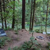 Review photo of NF Dispersed Camping by Corey M., July 24, 2026