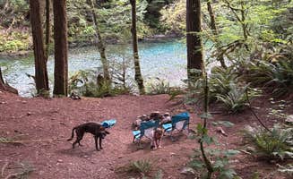 Jacob R.'s photo of camping with pets at NF Dispersed Camping near North Cascades National Park