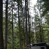 Review photo of NF Dispersed Camping by Crispin S., October 20, 2025