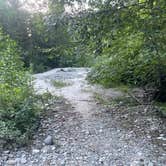 Review photo of NF Dispersed Camping by Truly W., July 11, 2025