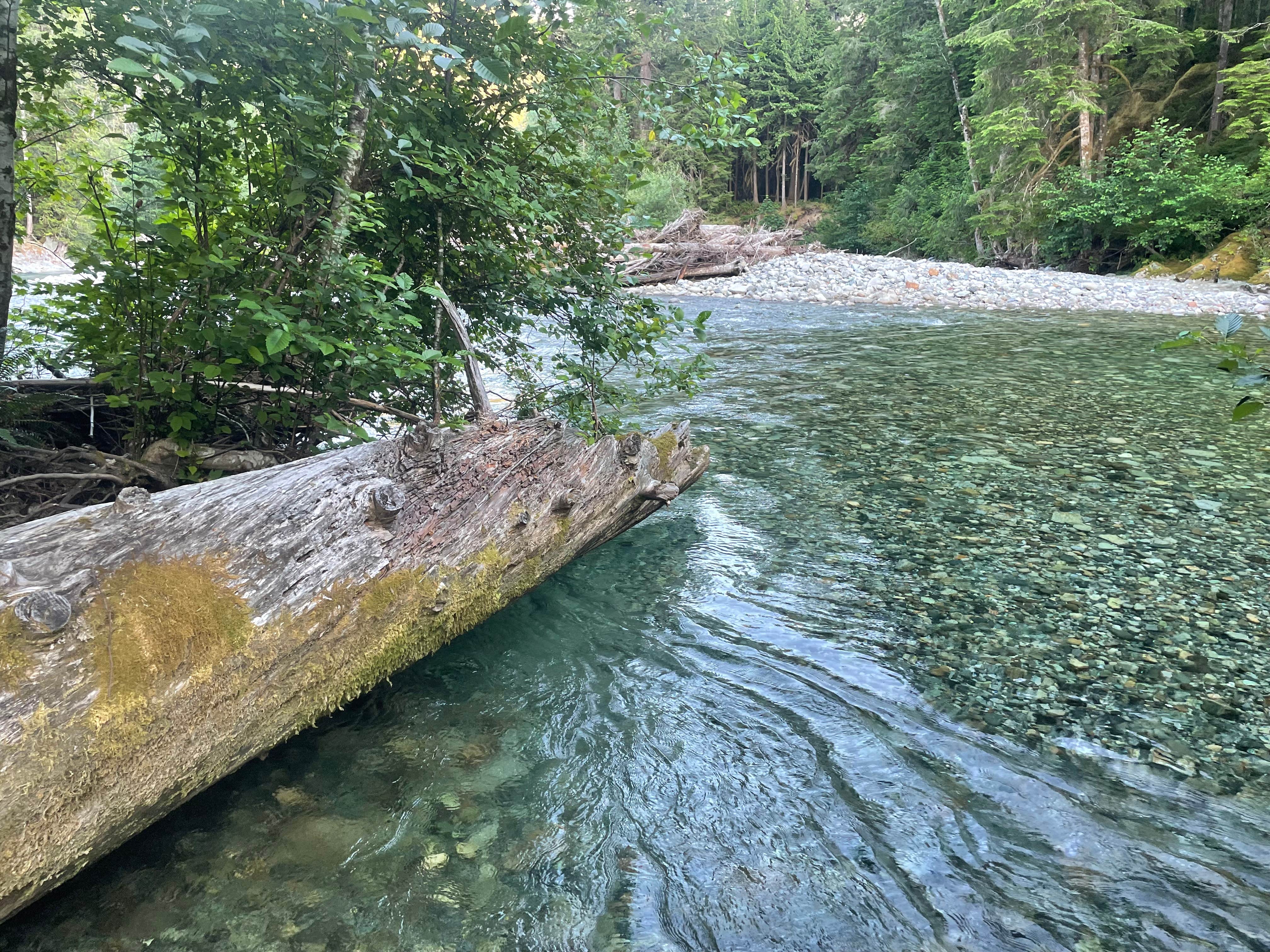 Camper-submitted photo at NF Dispersed Camping near Lake Chelan National Recreation Area